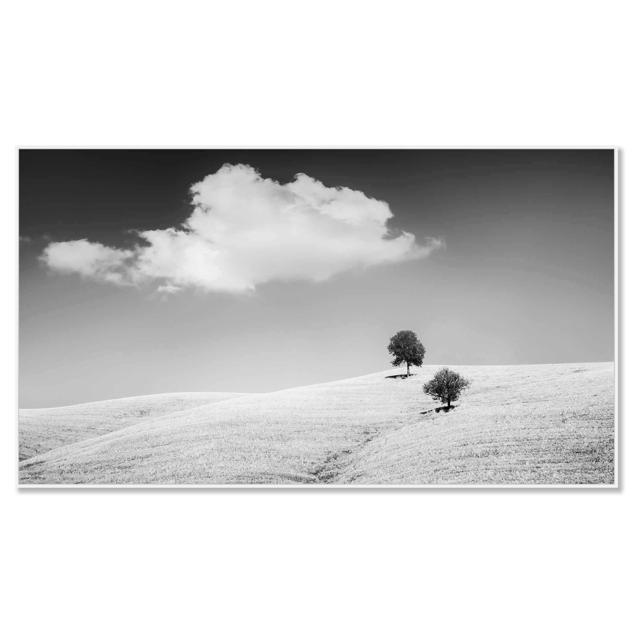 Rolling Hills mit Bäumen, Toskana, Schwarz-Weiß, Landschaft, limitierte Auflage (Zeitgenössisch), Photograph, von Gerald Berghammer