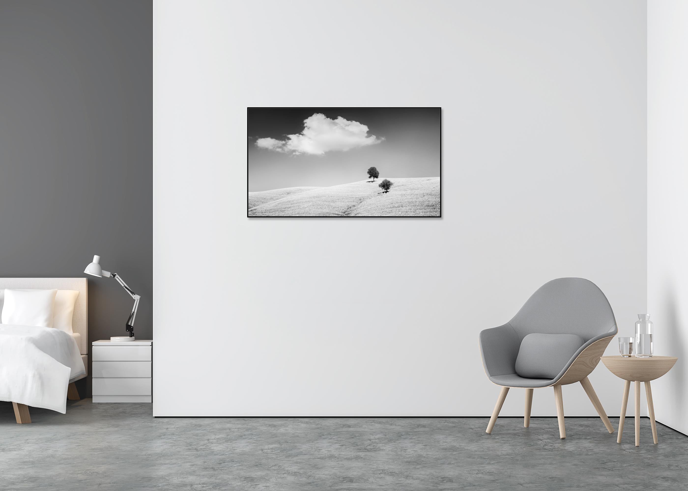 Rolling Hills mit Bäumen, Toskana, Schwarz-Weiß, Landschaft, limitierte Auflage (Grau), Black and White Photograph, von Gerald Berghammer