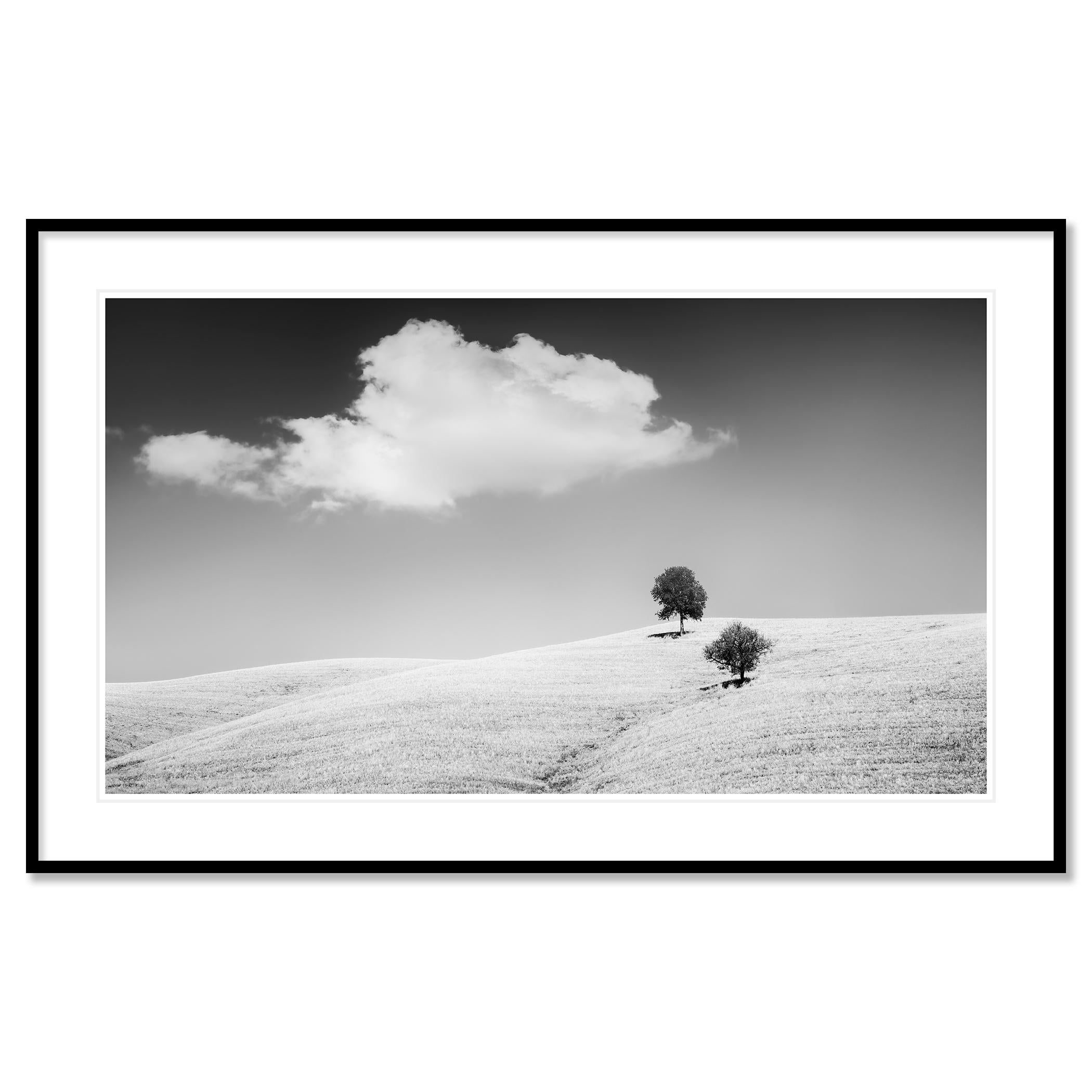 Schwarz-Weiß-Panorama-Landschaftsfotografie. Zwei Bäume auf einem abgeernteten Weizenfeld mit schönen Wolken in der Toskana, Italien. Pigmenttintendruck, Auflage 7, signiert, betitelt, datiert und nummeriert vom Künstler. Mit Echtheitszertifikat.
