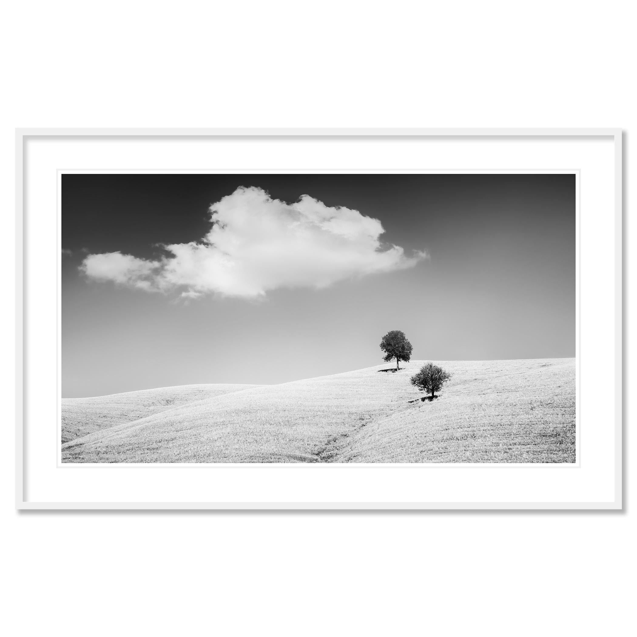 Rolling Hills mit Bäumen, Toskana, Schwarz-Weiß, Landschaft, limitierte Auflage im Angebot 1