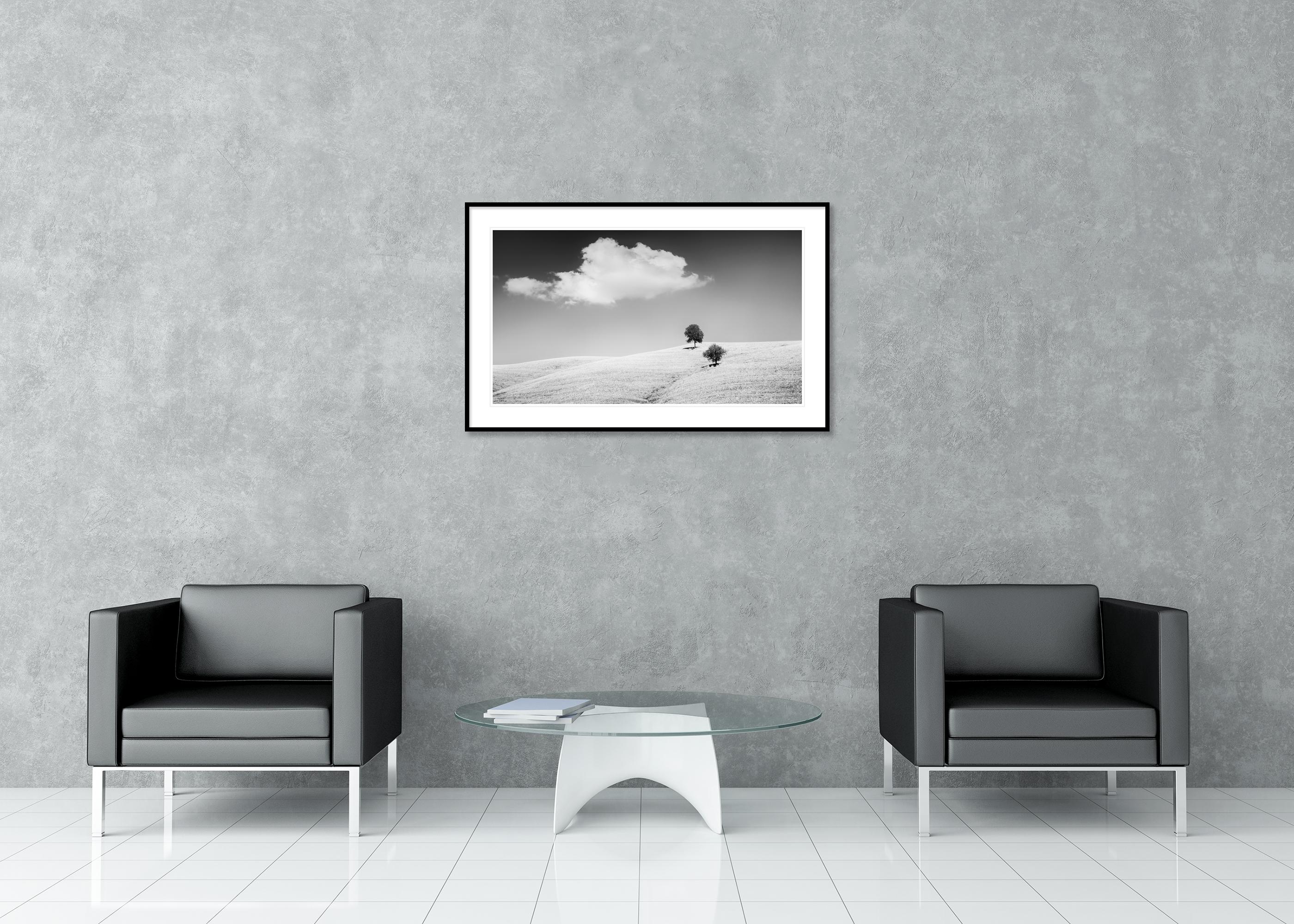 Rolling Hills mit Bäumen, Toskana, Schwarz-Weiß, Landschaft, limitierte Auflage im Angebot 2