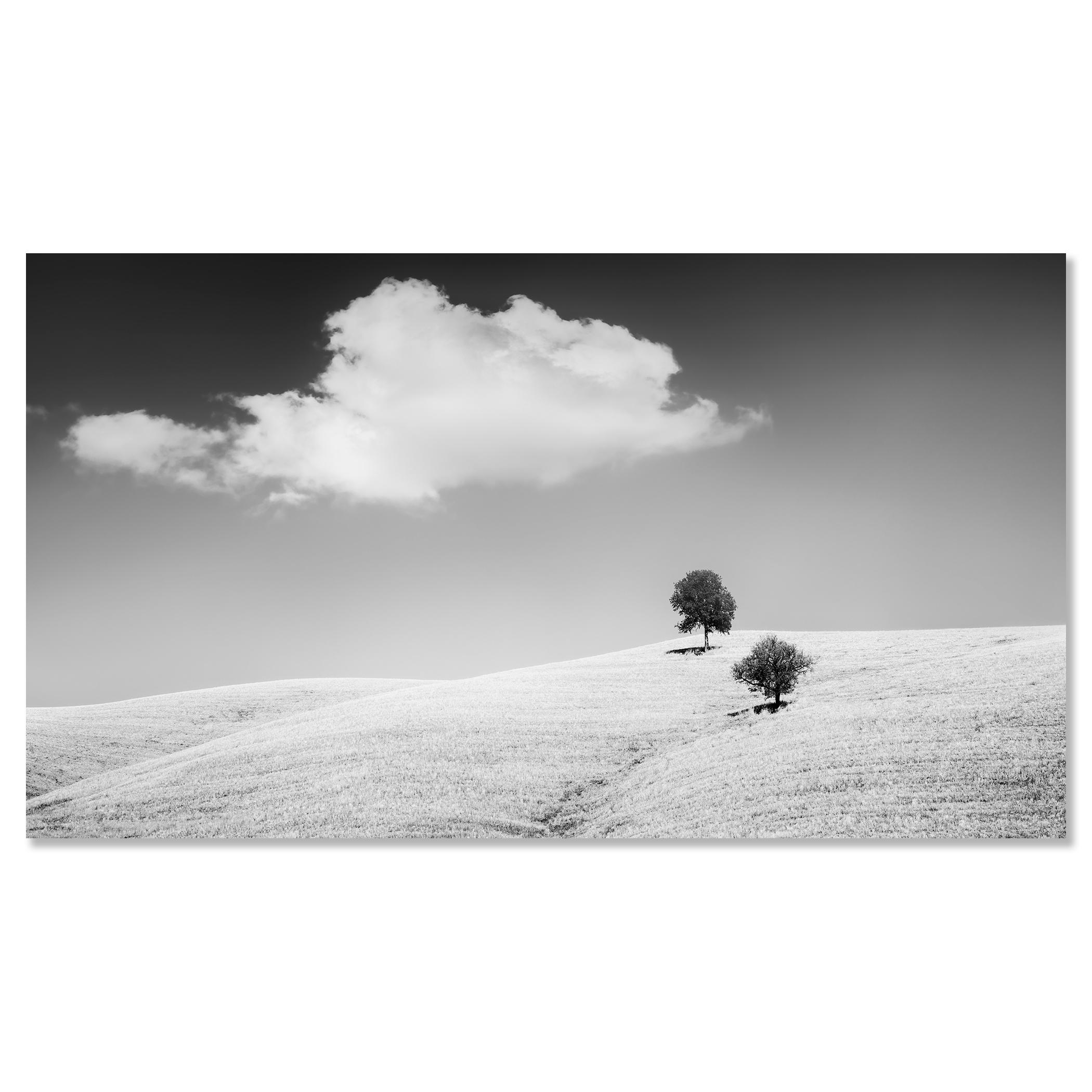 Rolling Hills mit Bäumen, Toskana, Schwarz-Weiß, Landschaft, limitierte Auflage im Angebot 3