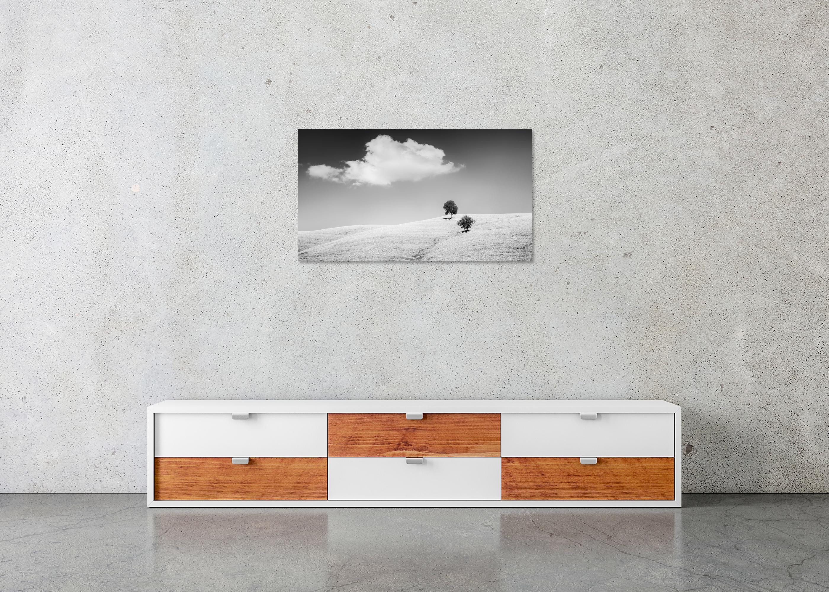 Rolling Hills mit Bäumen, Toskana, Schwarz-Weiß, Landschaft, limitierte Auflage im Angebot 4