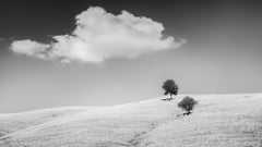 Colinas ondulantes con árboles, Toscana, paisaje en blanco y negro, edición limitada