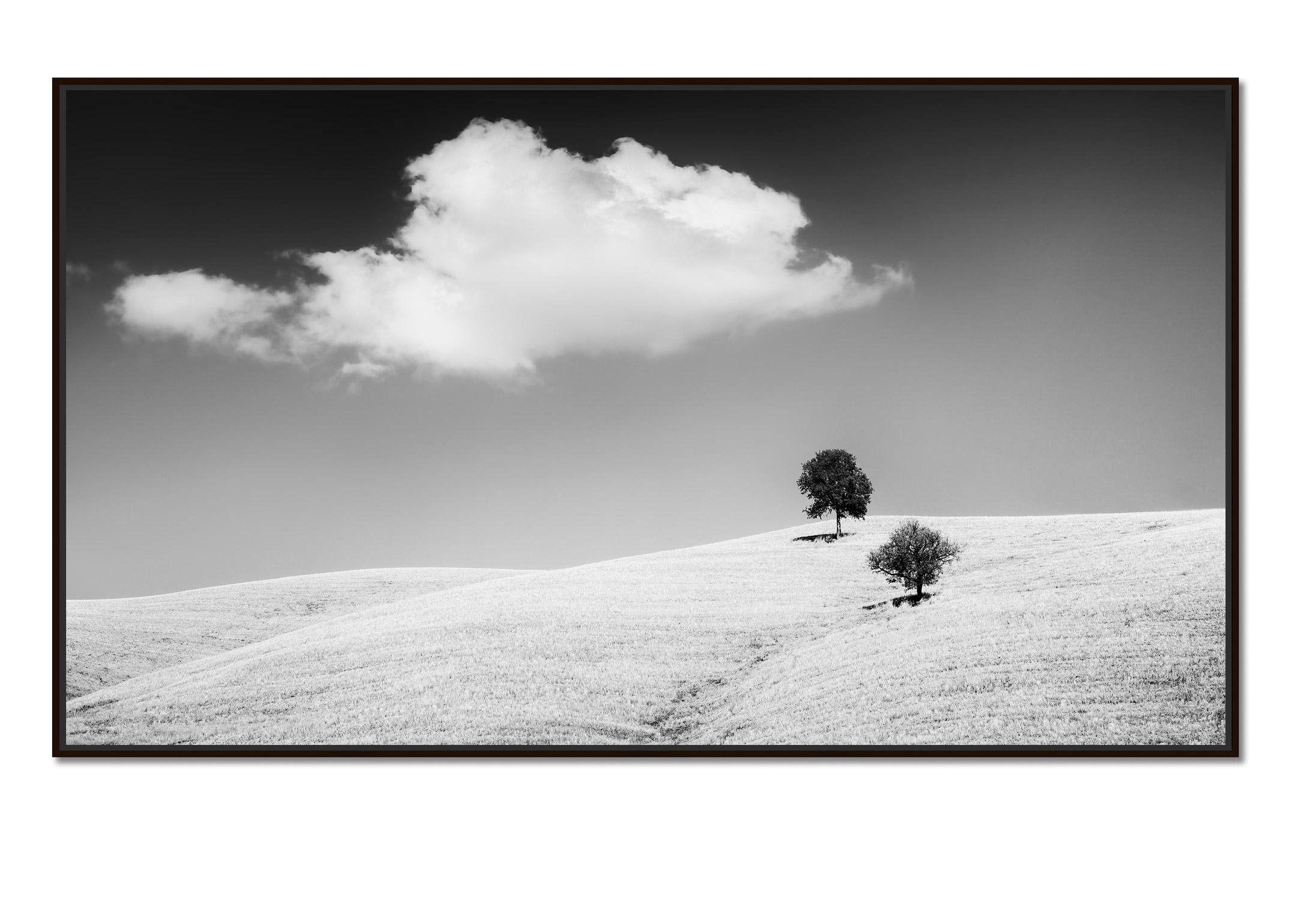 Rolling Hills with Trees, Tuscany, black & white fine art landscape photography - Photograph by Gerald Berghammer