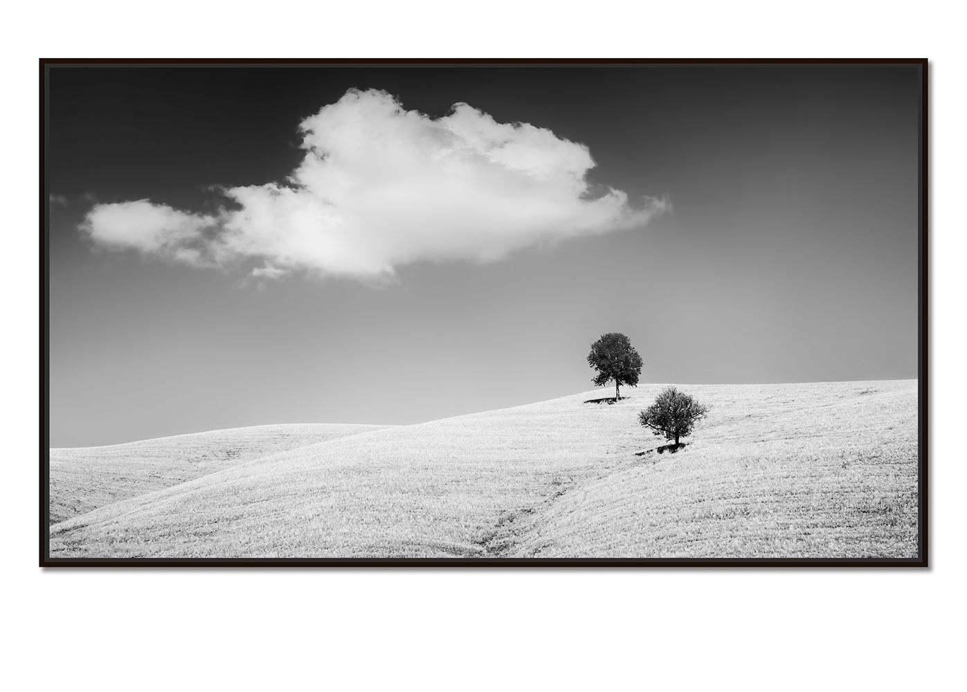 Roll & Hill con alberi, Toscana, bianco e nero, paesaggio, edizione limitata - Photograph di Gerald Berghammer