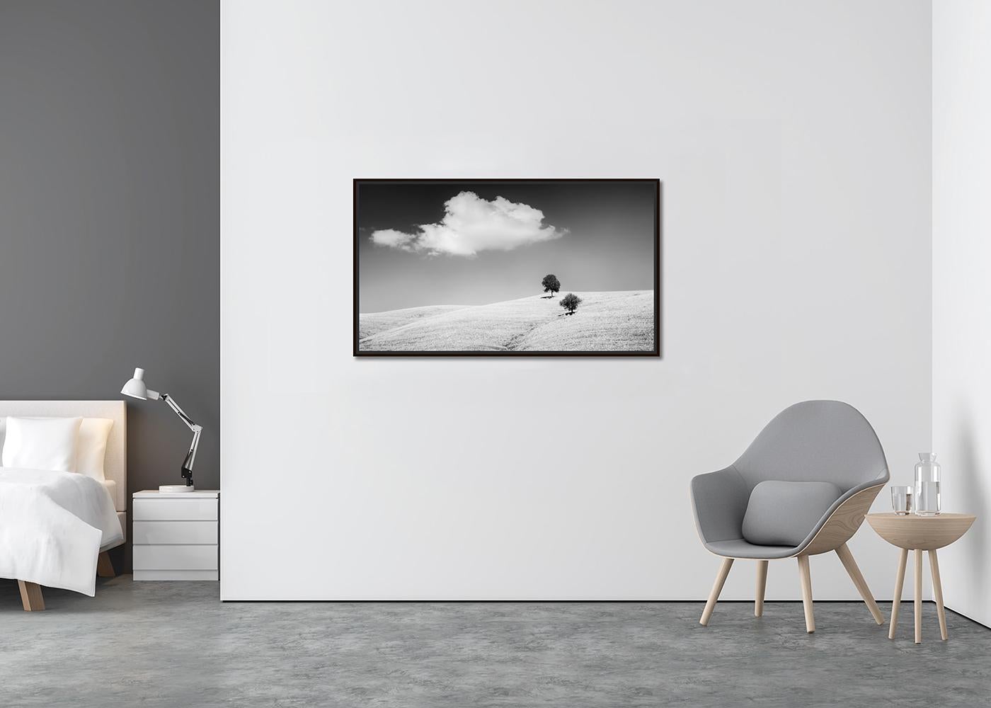 Roll & Hill con alberi, Toscana, bianco e nero, paesaggio, edizione limitata - Photograph Contemporaneo di Gerald Berghammer