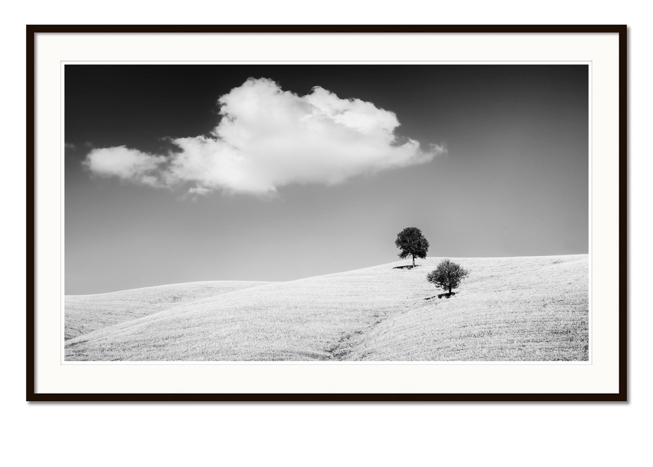 Rolling Hills with Trees, Tuscany, black & white fine art landscape photography - Contemporary Photograph by Gerald Berghammer