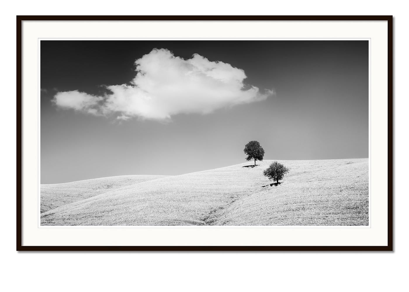 Roll & Hill con alberi, Toscana, bianco e nero, paesaggio, edizione limitata - Landscape Photograph Grigio di Gerald Berghammer