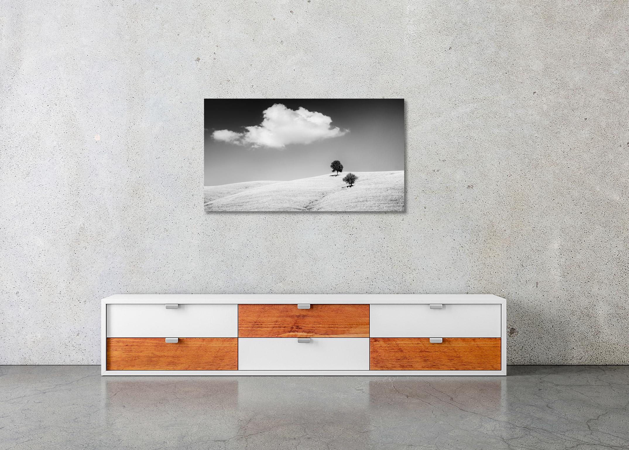 Black and White Fine Art Panorama Landscape Photography. Two trees on the harvested wheat field with nice cloud in Tuscany, Italy. Archival pigment ink print, edition of 8. Signed, titled, dated and numbered by artist. Certificate of authenticity