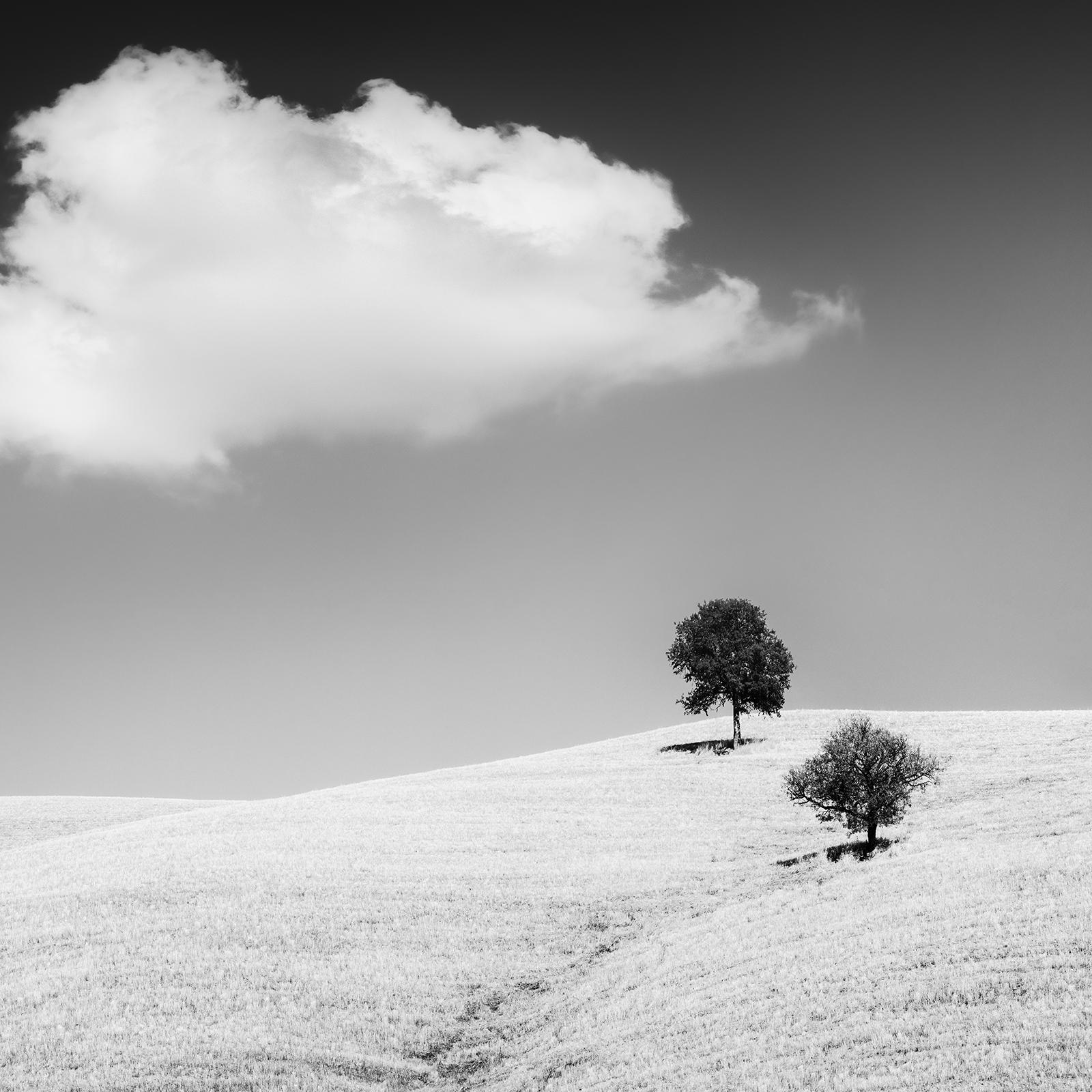 Rolling Hills with Trees, Tuscany, black & white fine art landscape photography For Sale 2