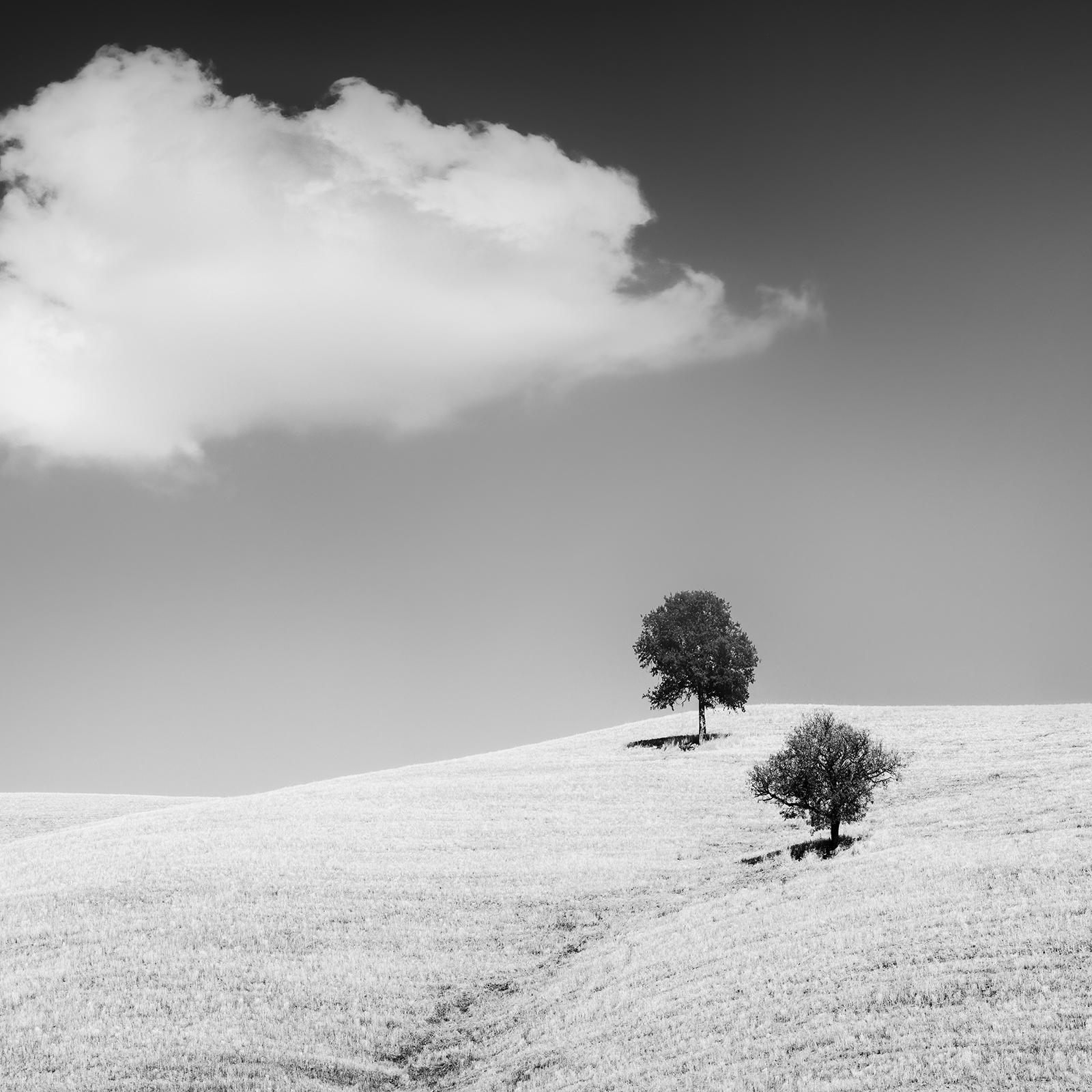 Roll & Hill con alberi, Toscana, bianco e nero, paesaggio, edizione limitata in vendita 3