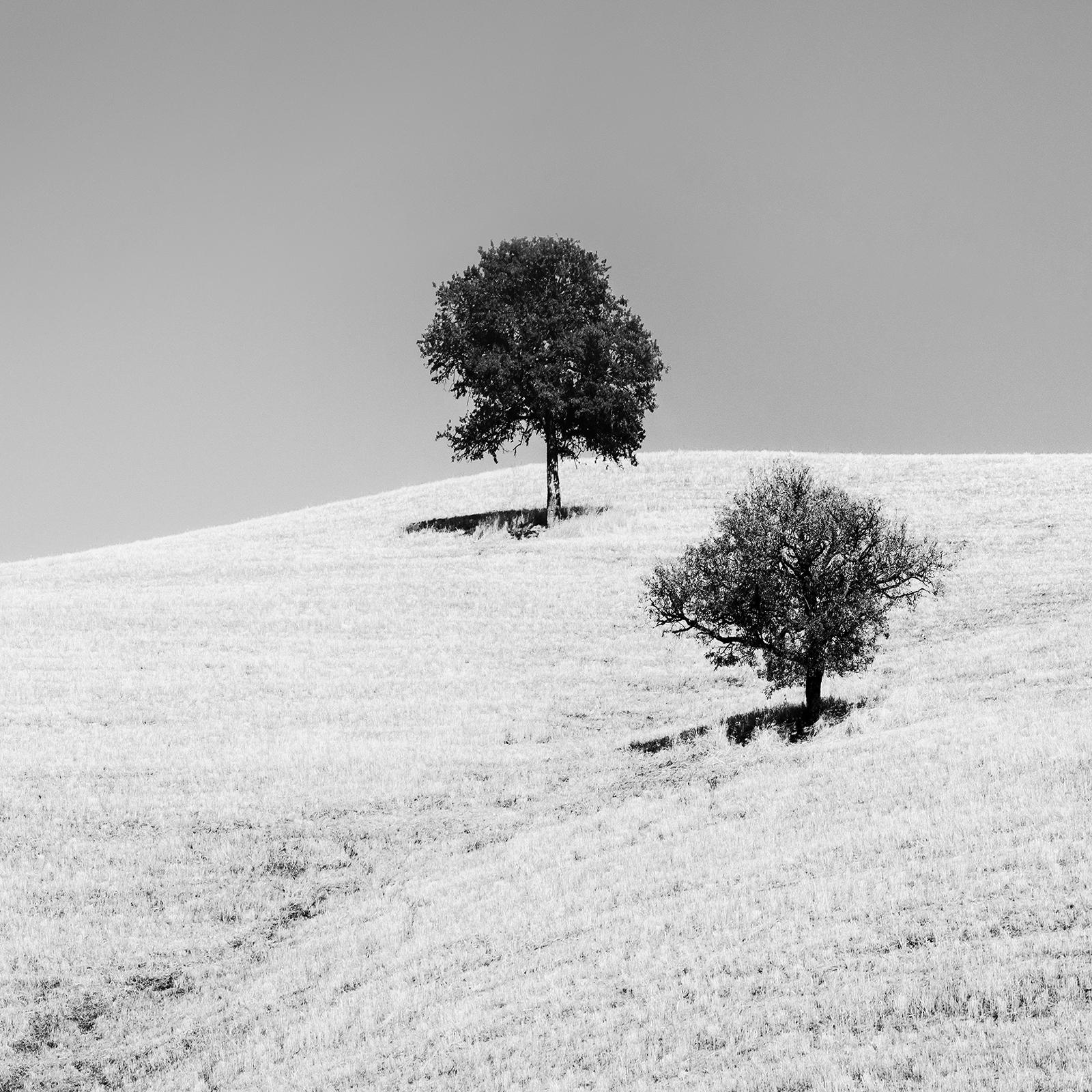 Rolling Hills with Trees, Tuscany, black & white fine art landscape photography For Sale 3