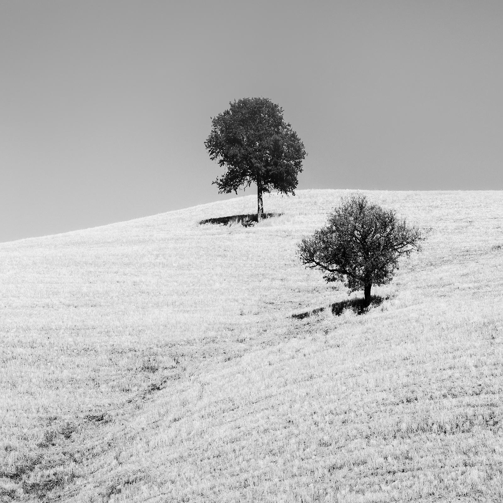 Roll & Hill con alberi, Toscana, bianco e nero, paesaggio, edizione limitata in vendita 4