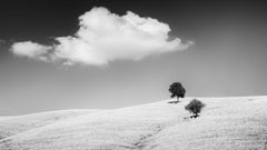 Rolling Hills mit Bäumen, Toskana, Schwarz-Weiß-Landschaftsfotografie der bildenden Kunst
