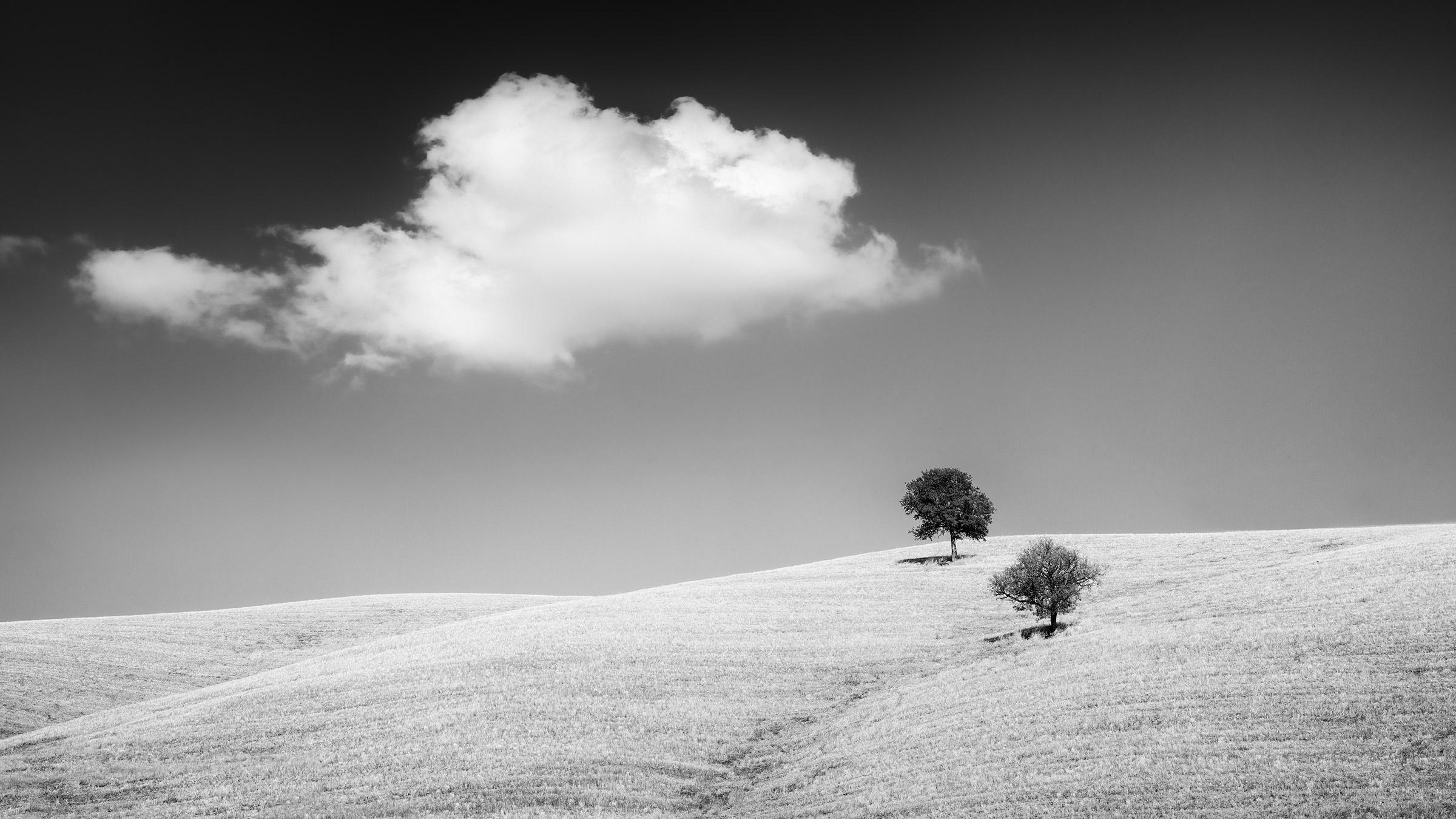 Rolling hills with Trees, Tuscany, Italy, Black and white photography, landscape