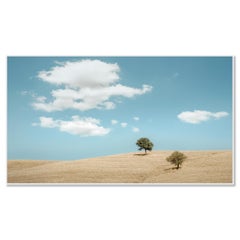 Roll & Hill con alberi fotografia panorama edizione limitata