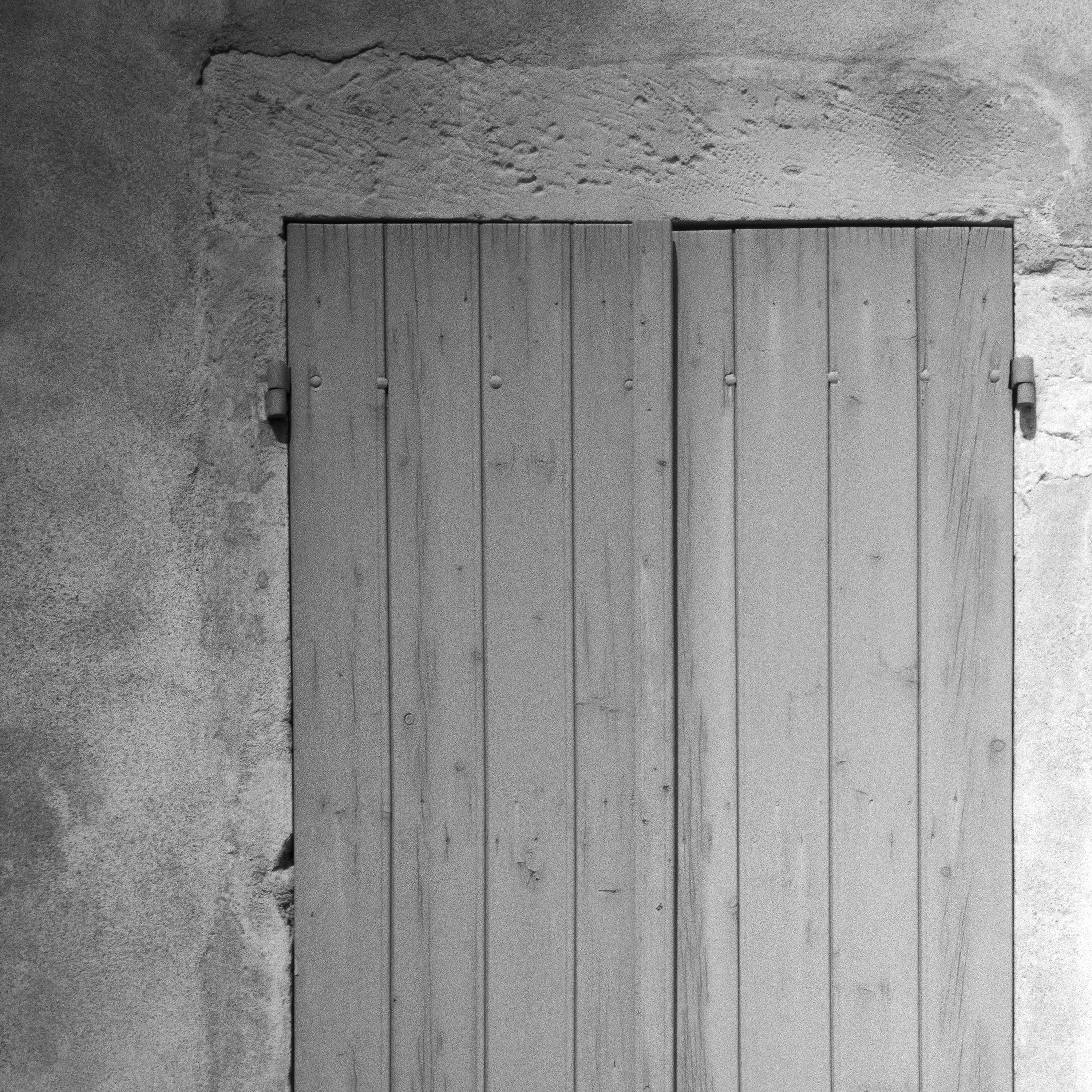 Rosa Wichuraiana, Francia, fotografia d'autore in bianco e nero, paesaggio in vendita 3