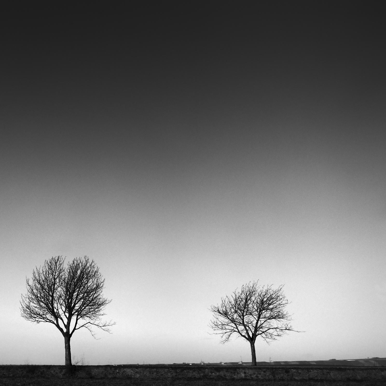 Row of Cherry Trees, Schwarz-Weiß-Landschaft, Fotografie, limitierte Auflage im Angebot 5