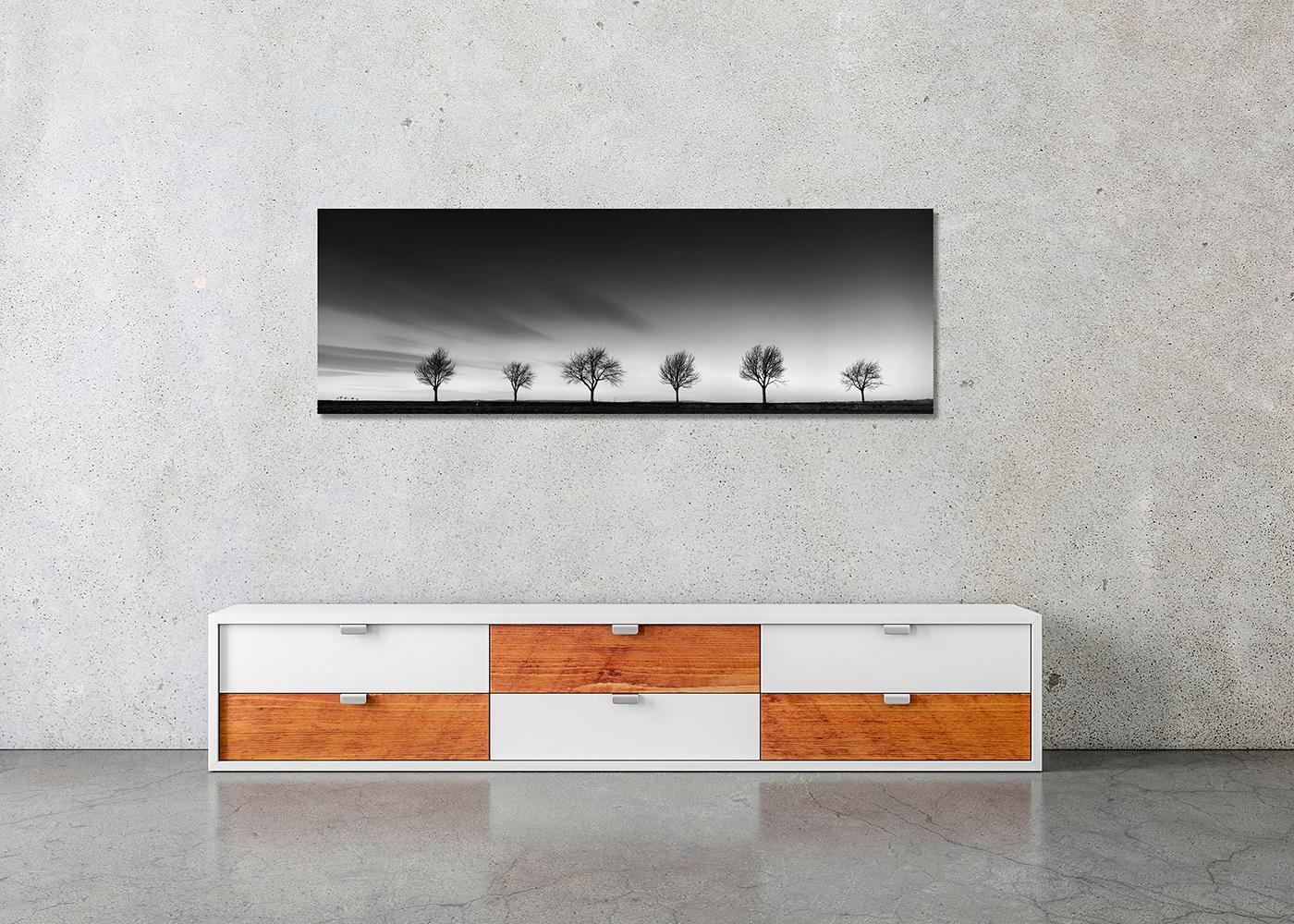 Row of Cherry Trees, Schwarz-Weiß-Landschaft, Fotografie, limitierte Auflage im Angebot 2