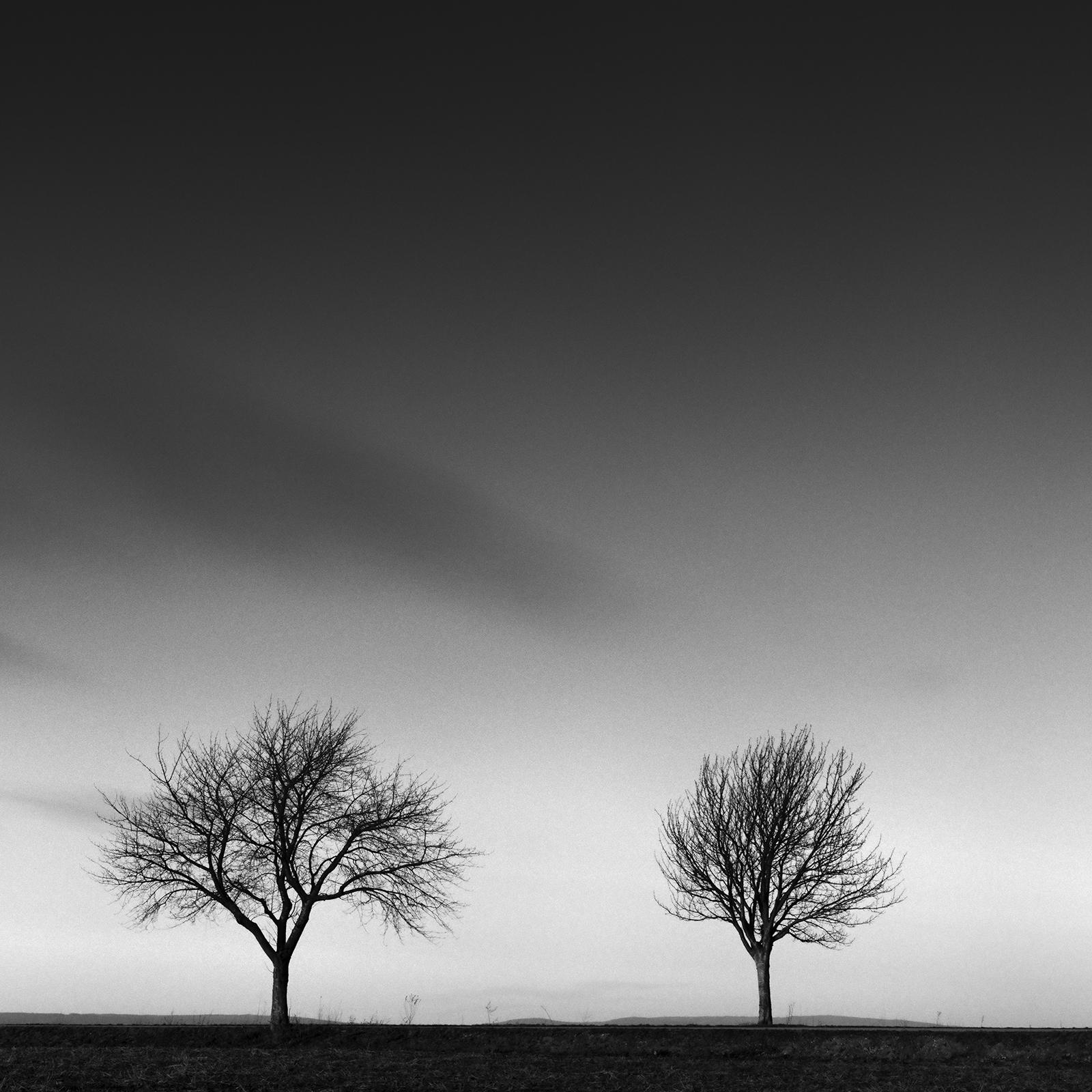 Row of Cherry Trees, Schwarz-Weiß-Landschaft, Fotografie, limitierte Auflage im Angebot 4
