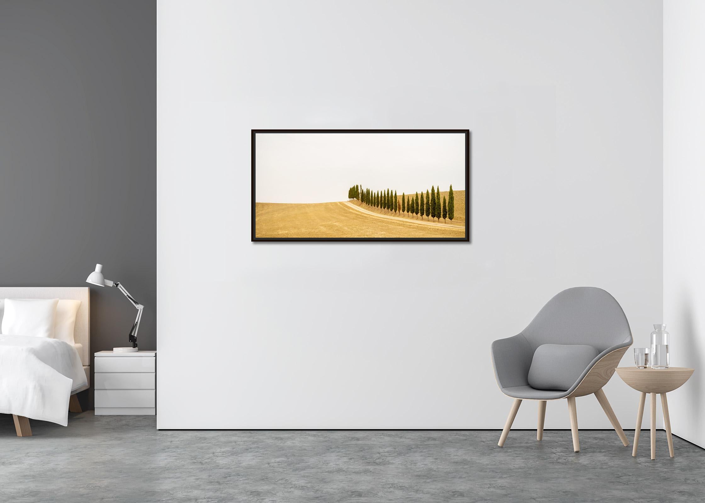 The Row of Cypress Trees, Toscana, fotografia a colori, edizione limitata, paesaggio - Photograph Contemporaneo di Gerald Berghammer