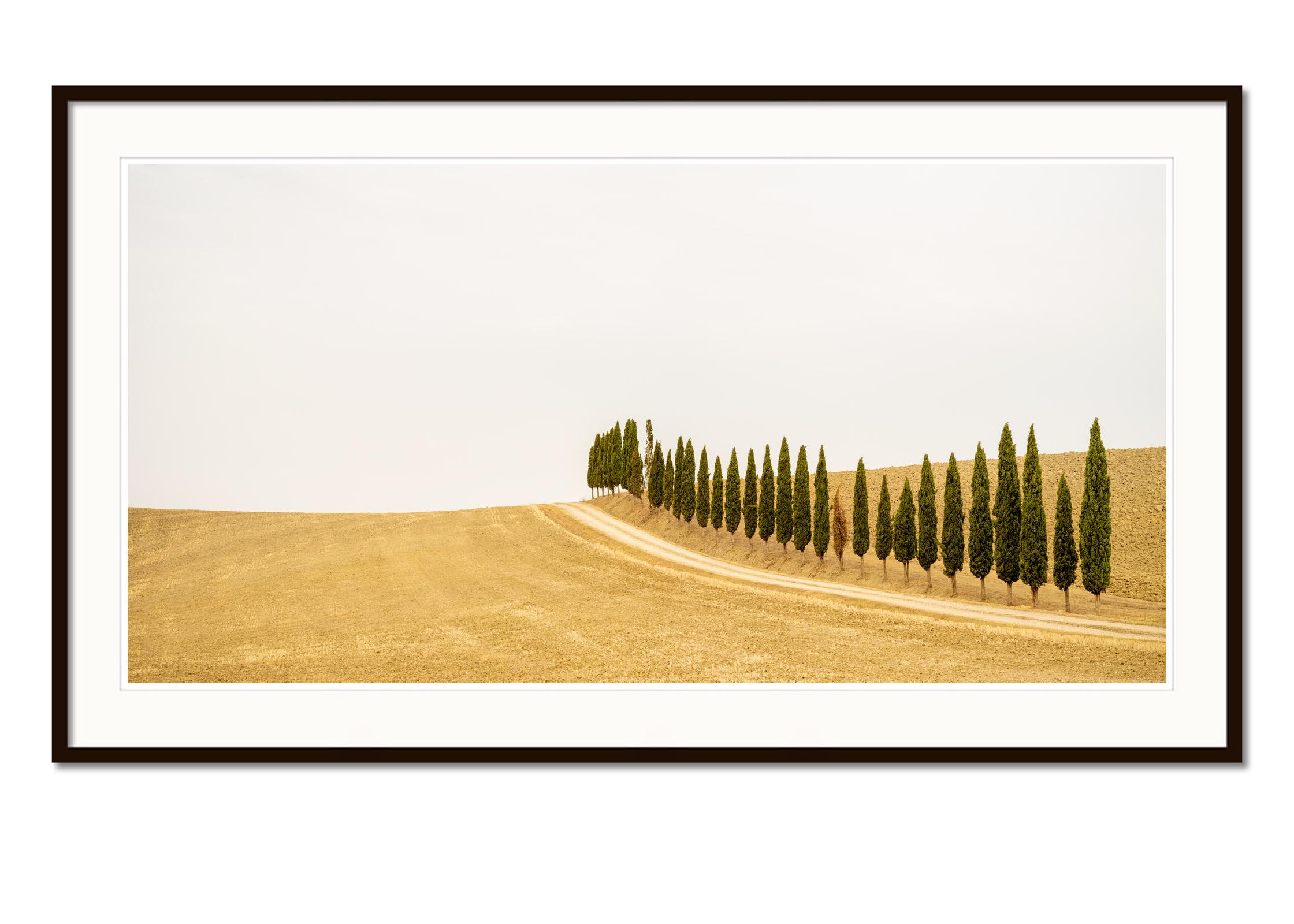 The Row of Cypress Trees, Toscana, fotografia a colori, edizione limitata, paesaggio - Landscape Photograph Beige di Gerald Berghammer