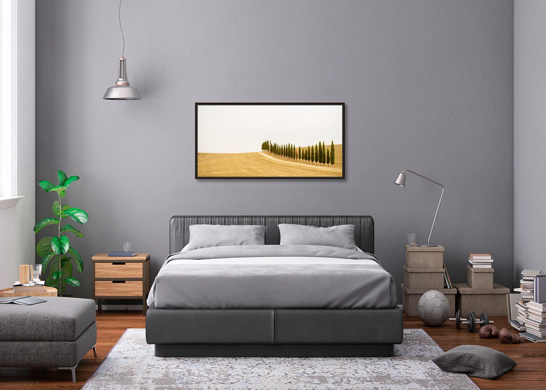 The Row of Cypress Trees, Toscana, fotografia a colori, edizione limitata, paesaggio in vendita 2