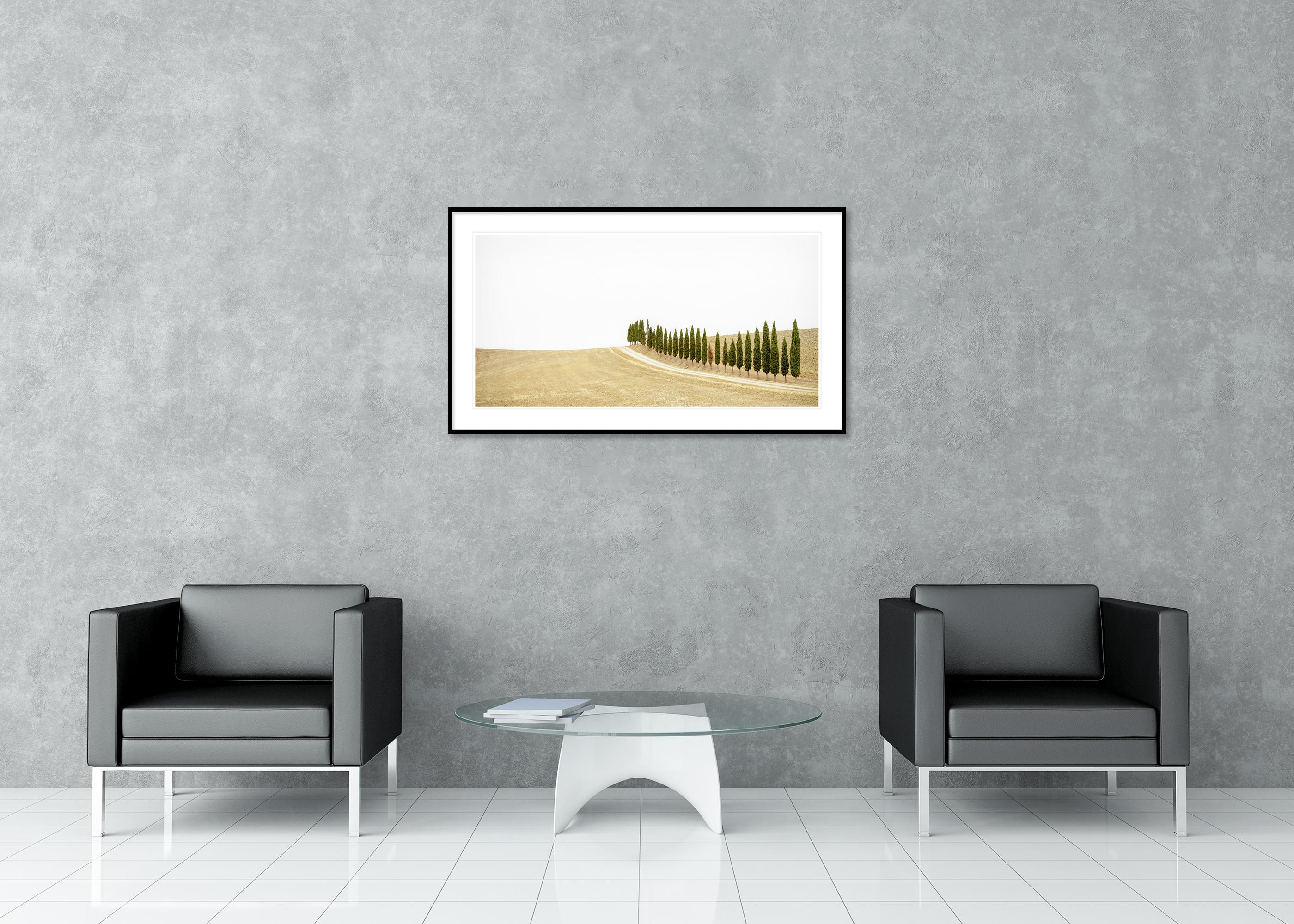 Row of Cypress Trees, Toscane, photographie en couleur, édition limitée, paysage en vente 2
