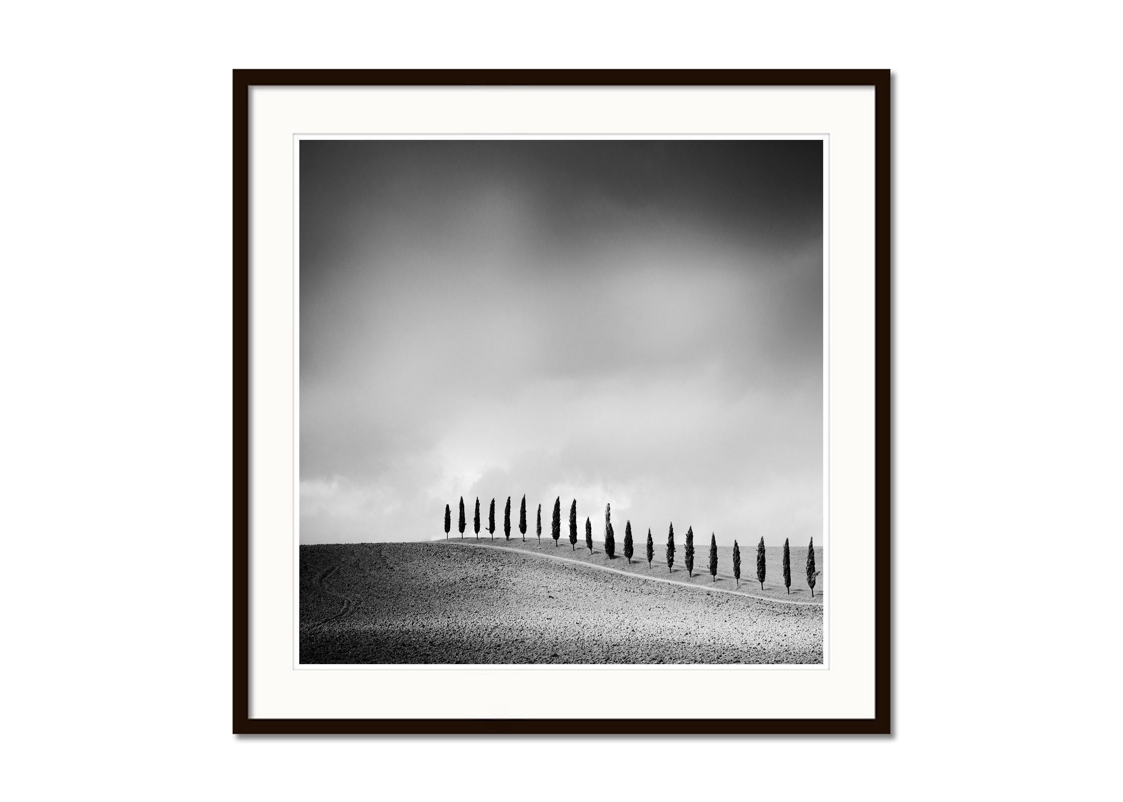 Row of Cypress Trees, Tuscany, black and white fine art photography, landscape - Gray Landscape Photograph by Gerald Berghammer