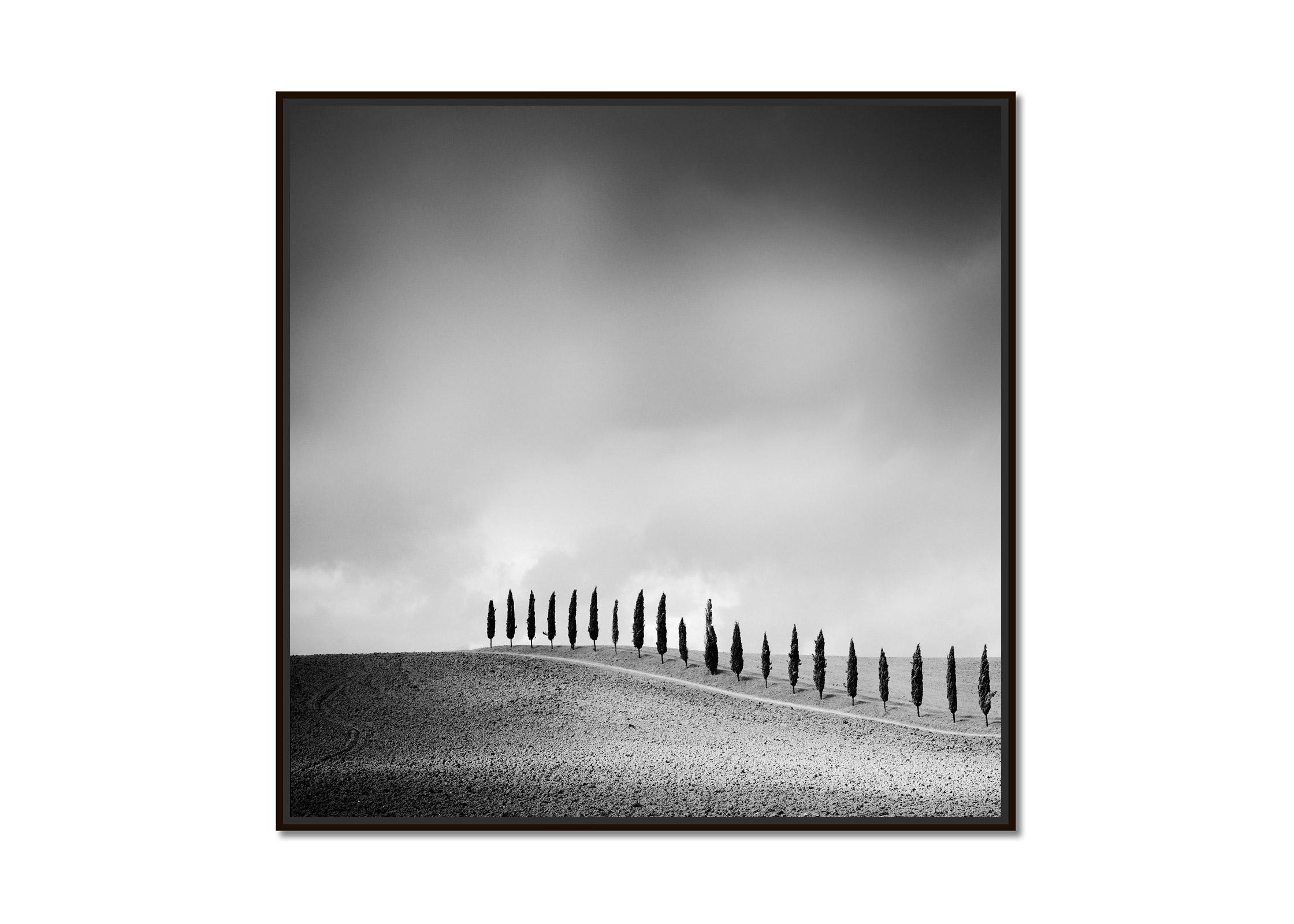Row of Cypress Trees, Tuscany, Italy, black and white art photography, landscape - Photograph by Gerald Berghammer