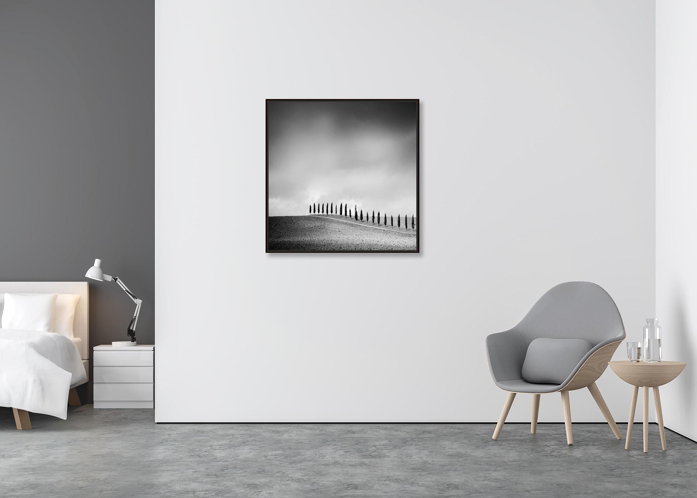 The Row of Cypress Trees, Toscane, photographie minimaliste en noir et blanc, paysage - Minimaliste Photograph par Gerald Berghammer