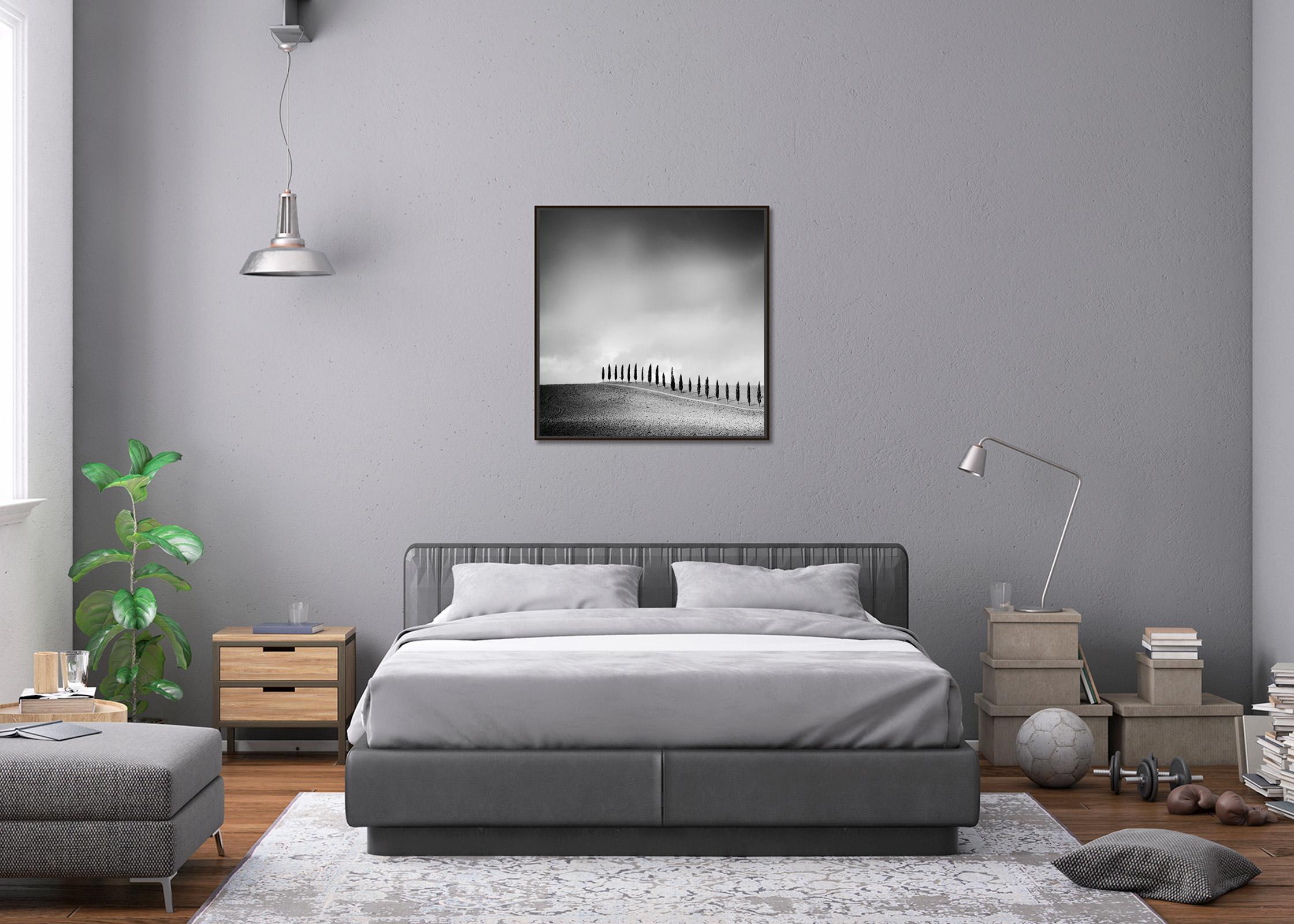 The Row of Cypress Trees, Toscane, photographie minimaliste en noir et blanc, paysage en vente 1