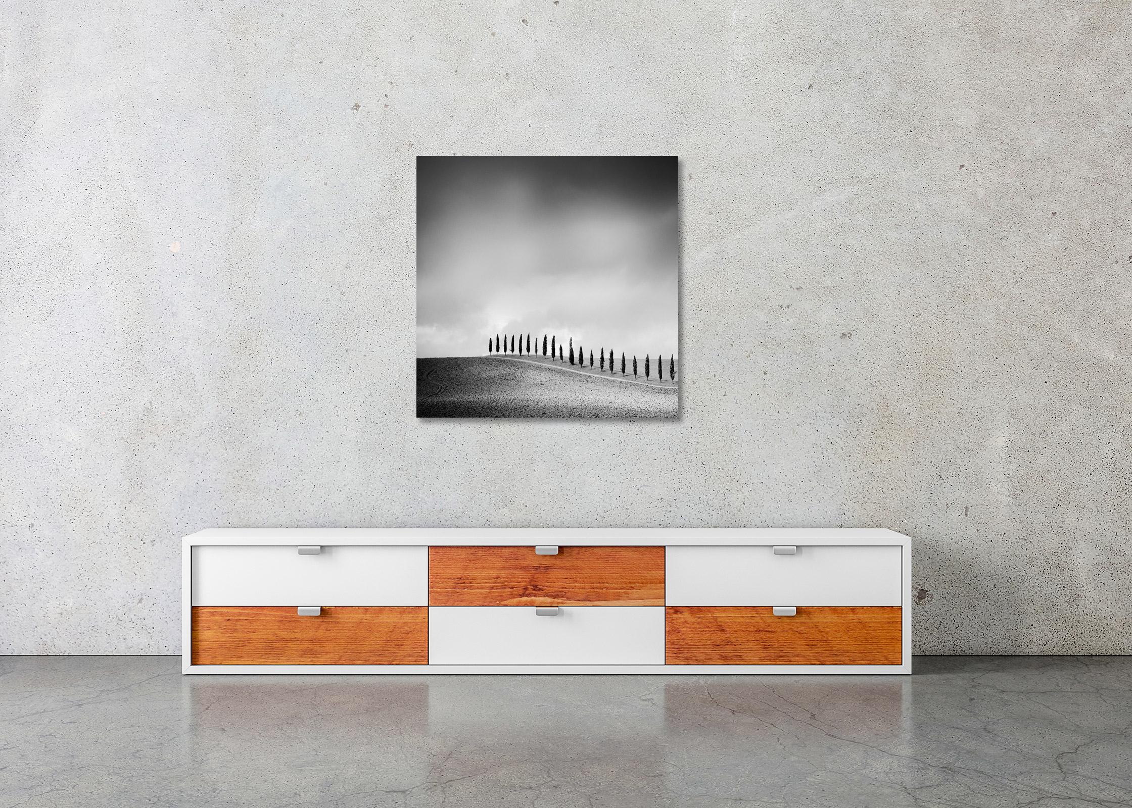 Filare di cipressi, Toscana, fotografia minimalista in bianco e nero, paesaggio in vendita 2