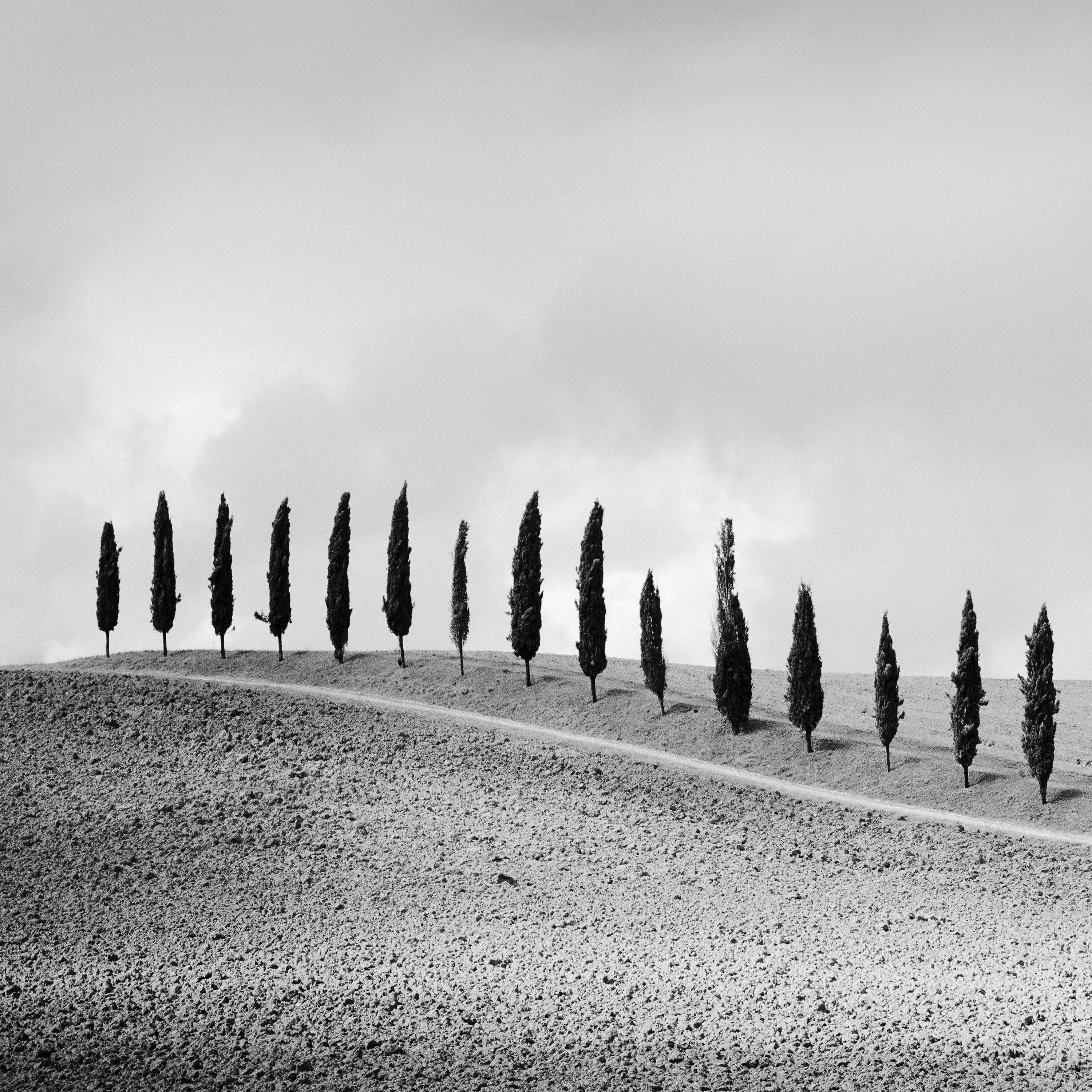 Black and white fine art landscape photography print. Path lined with cypress trees, Tuscany, Italy. Internationally award-winning photography. Archival pigment ink print, edition of 9. Signed, titled, dated and numbered by artist. Certificate of