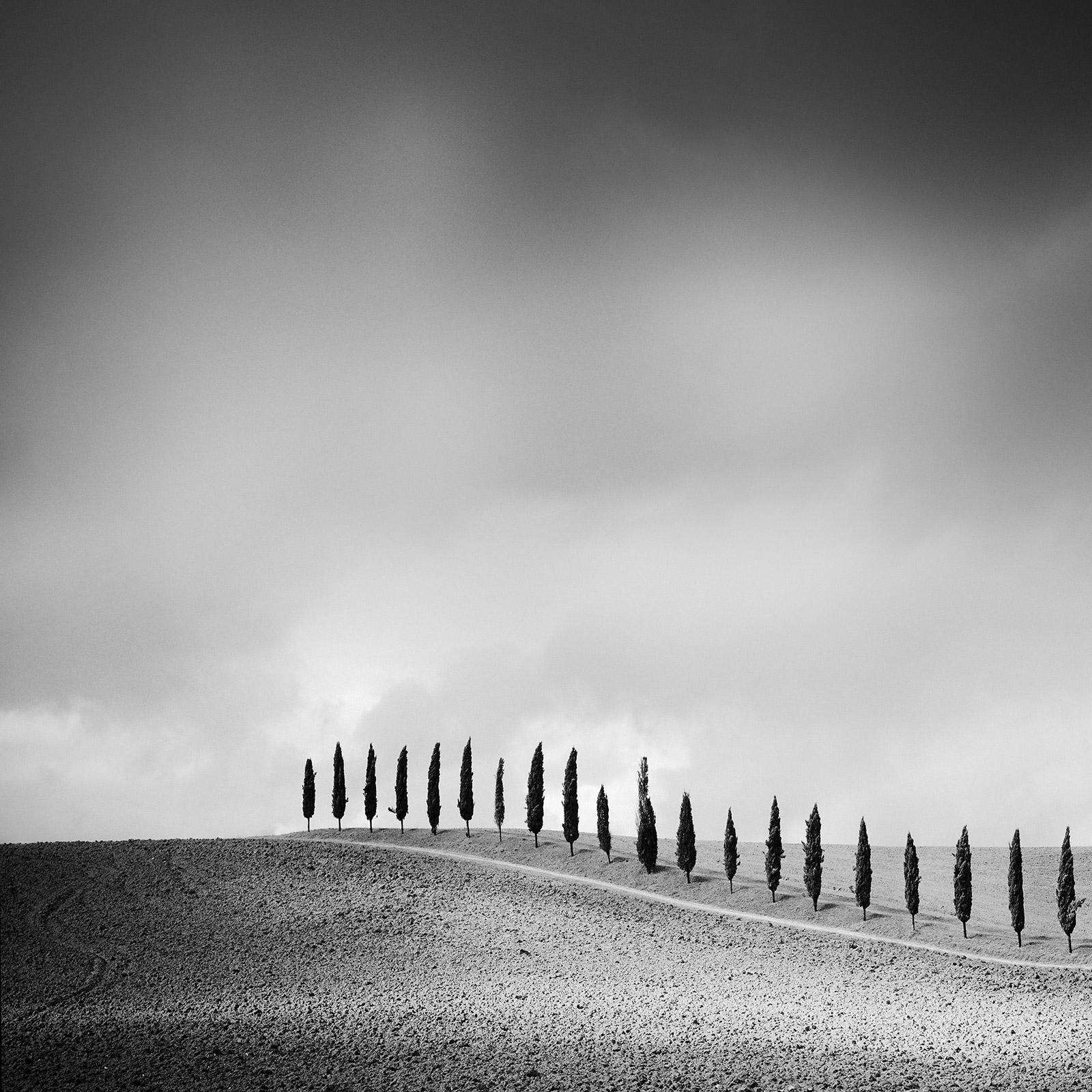 Landscape Photograph Gerald Berghammer - The Row of Cypress Trees, Toscane, photographie minimaliste en noir et blanc, paysage