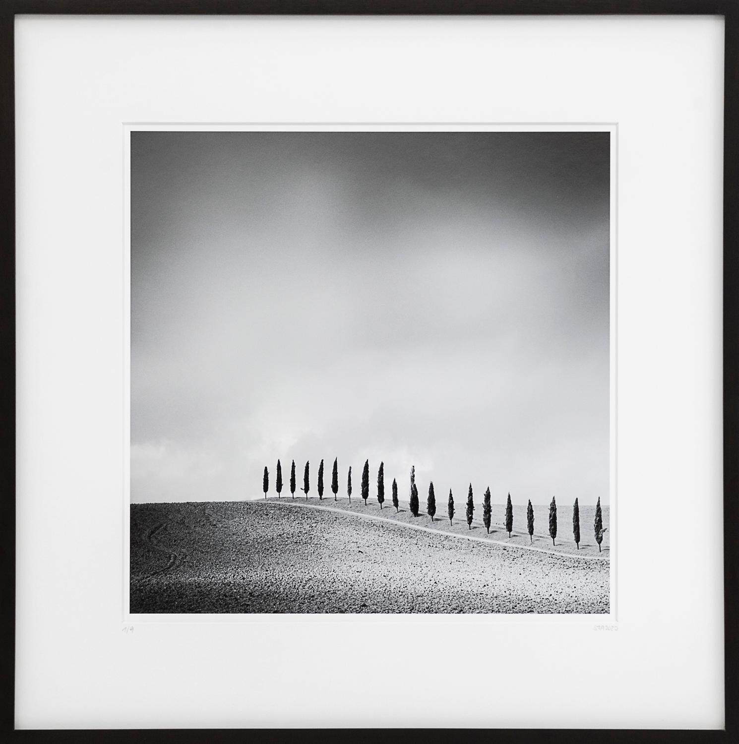 Gerald Berghammer Landscape Photograph -  Row of Cypress Trees, Tuscany, Italy, b&w photography, fine art print, framed