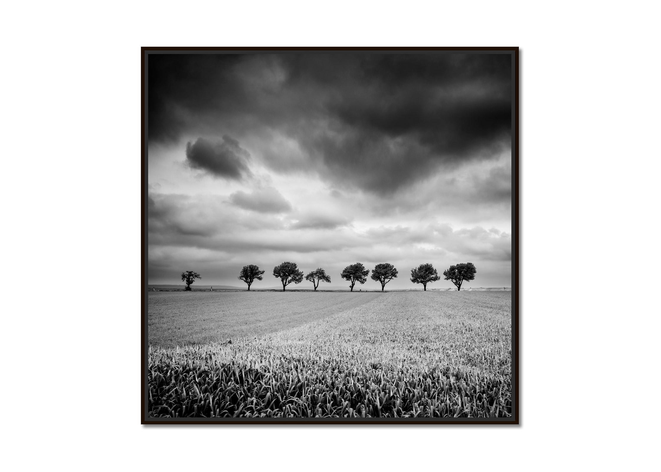 Zehn Kirschbaumbäume, stürmische Wolken, Schwarz-Weiß, Landschaft, Kunstfotografie – Print von Gerald Berghammer