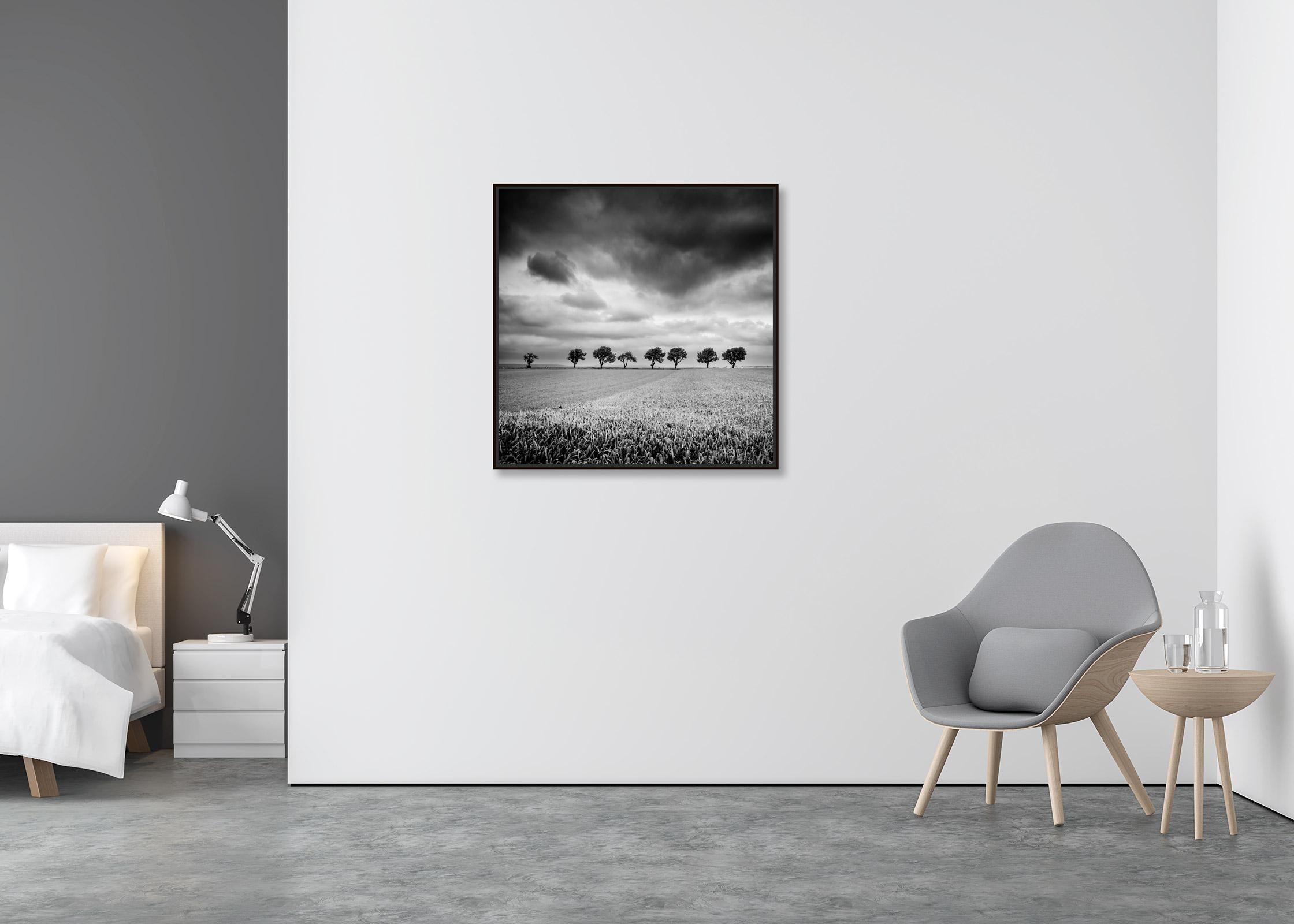 Zehn Kirschbaumbäume, stürmische Wolken, Schwarz-Weiß, Landschaft, Kunstfotografie (Zeitgenössisch), Print, von Gerald Berghammer