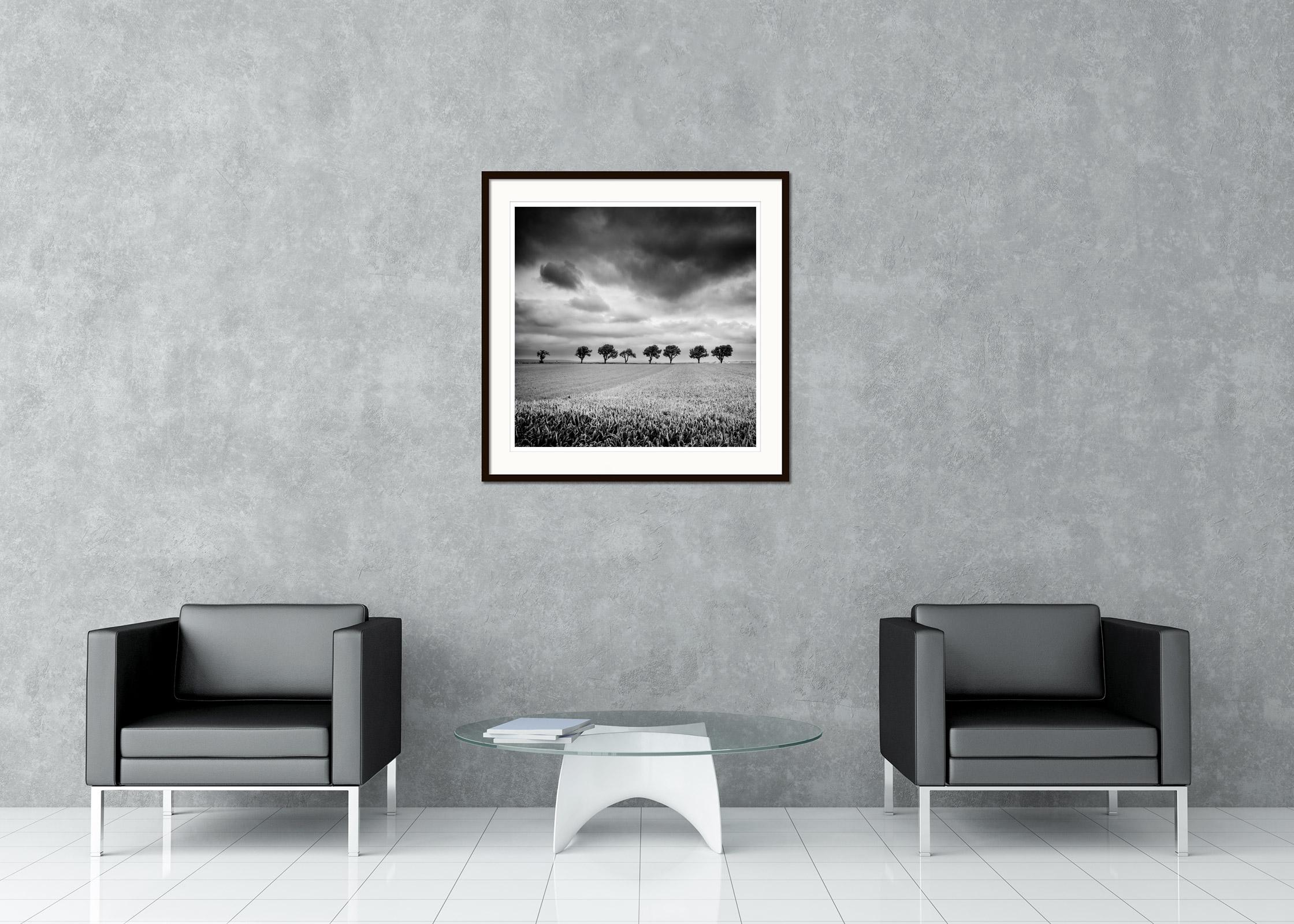 Eleven Cherry Trees, stormy Clouds, black and white, landscape, art photography - Contemporary Print by Gerald Berghammer