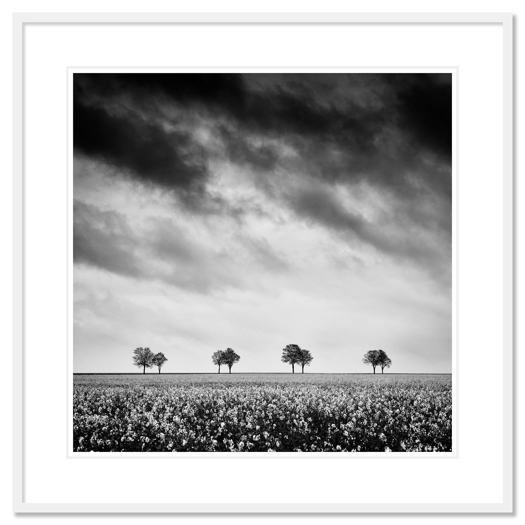 Photographie de paysage en noir et blanc. Tirage à l'encre pigmentaire d'archives faisant partie d'une édition limitée à 8 exemplaires. Tous les tirages de Gerald Berghammer sont réalisés sur commande en édition limitée sur papier baryté Hahnemuehle