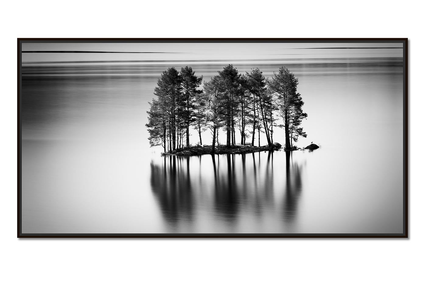Fila de Árboles en la Isla de Piedra, Vista del Lago, Panorama, Edición Limitada, paisaje acuático - Photograph de Gerald Berghammer