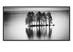 Row of Trees on Stone Island, Seeblick, Panorama, limitierte Auflage, Wasserlandschaft