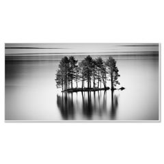 The Row of Trees on Stone Island, Norwegen, Schwarz-Weiß-Panorama einer Wasserlandschaft