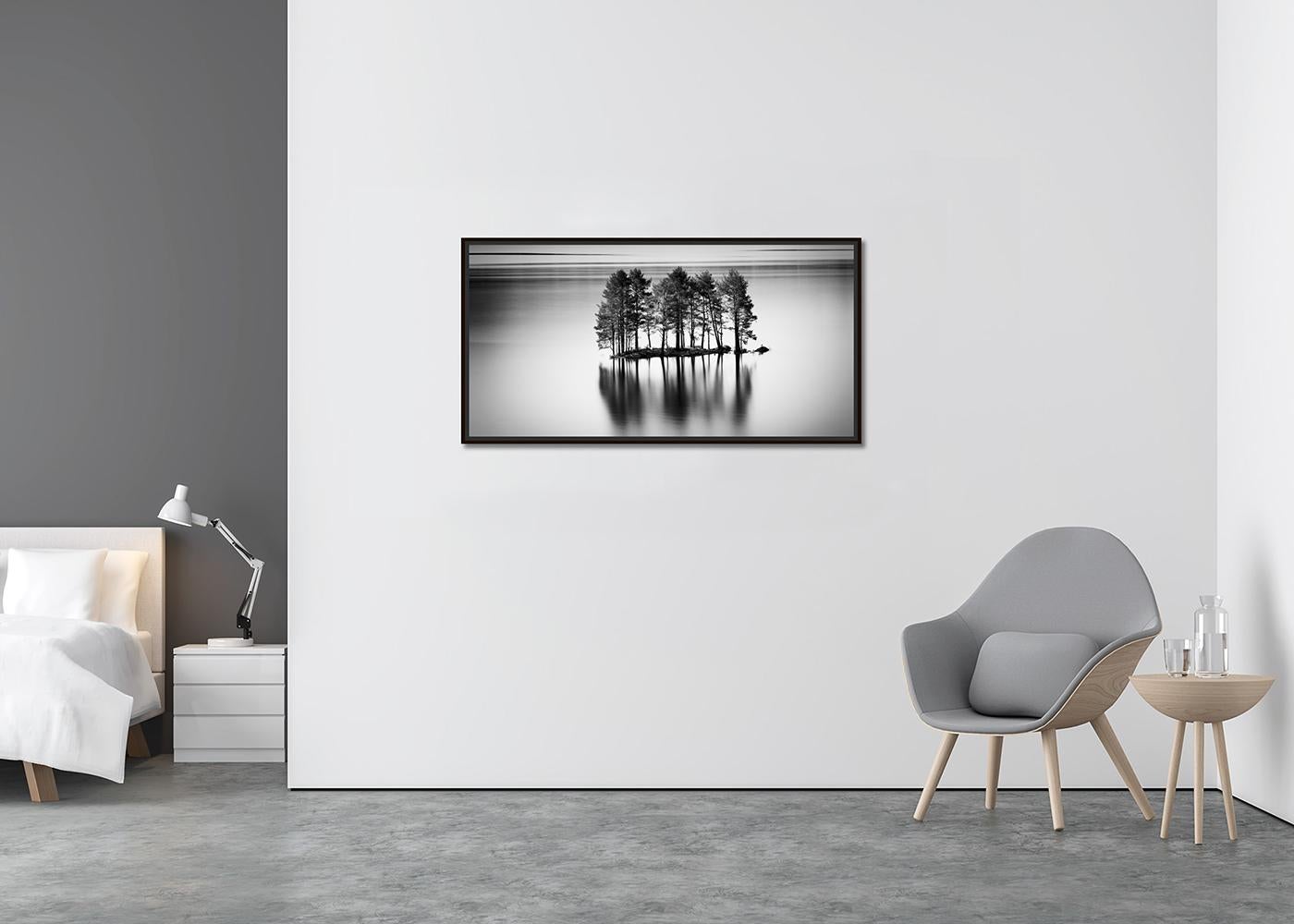 Fila de Árboles en la Isla de Piedra, Vista del Lago, Panorama, Edición Limitada, paisaje acuático - Photograph Contemporáneo de Gerald Berghammer
