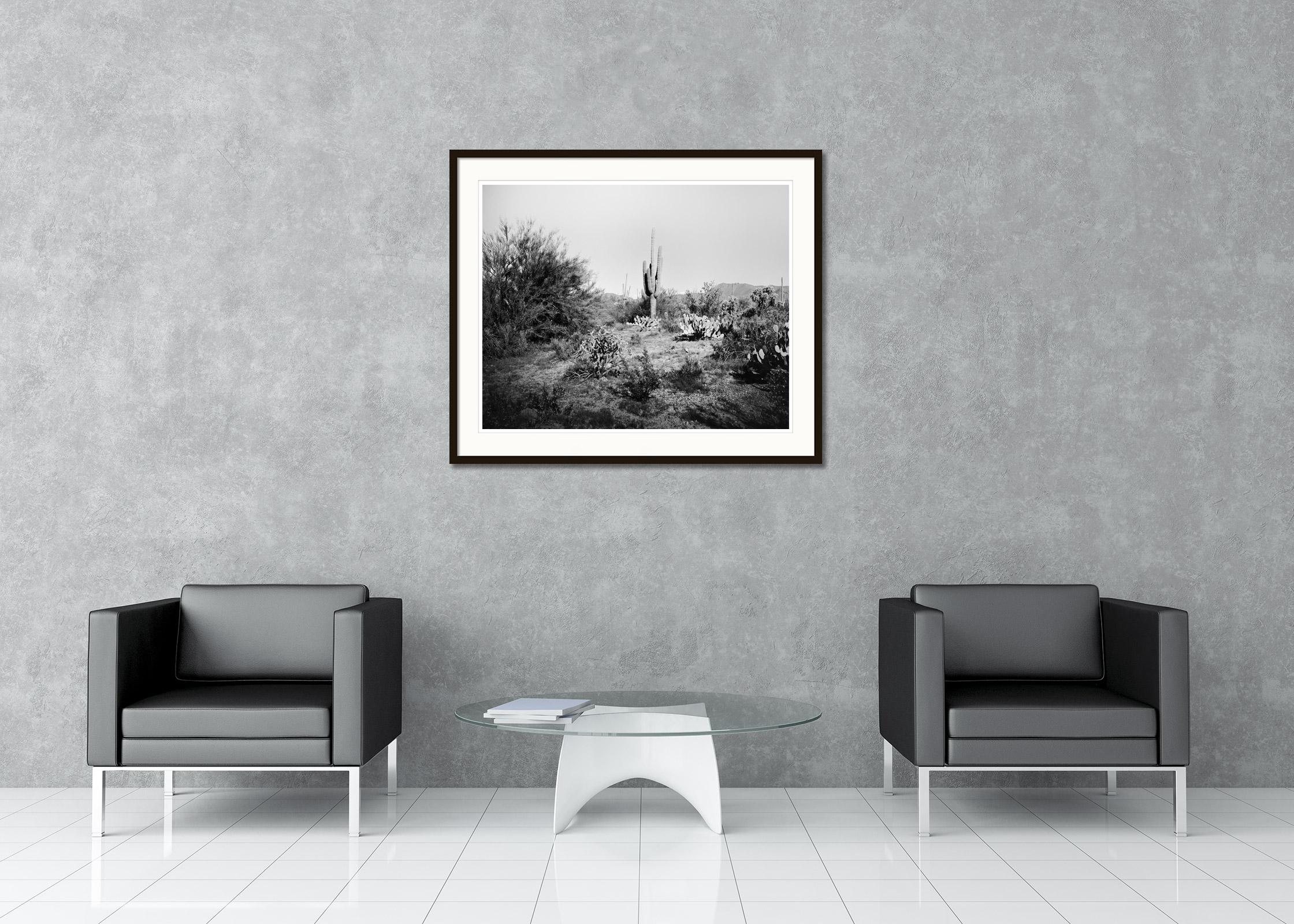 Schwarz-Weiß-Fotografie von Landschaften. Saguaro-Kaktus-Nationalpark, Wüste, Arizona, USA. Pigmenttintendruck, Auflage 9, signiert, betitelt, datiert und nummeriert vom Künstler. Mit Echtheitszertifikat. Bedruckt mit einem 4 cm breiten weißen