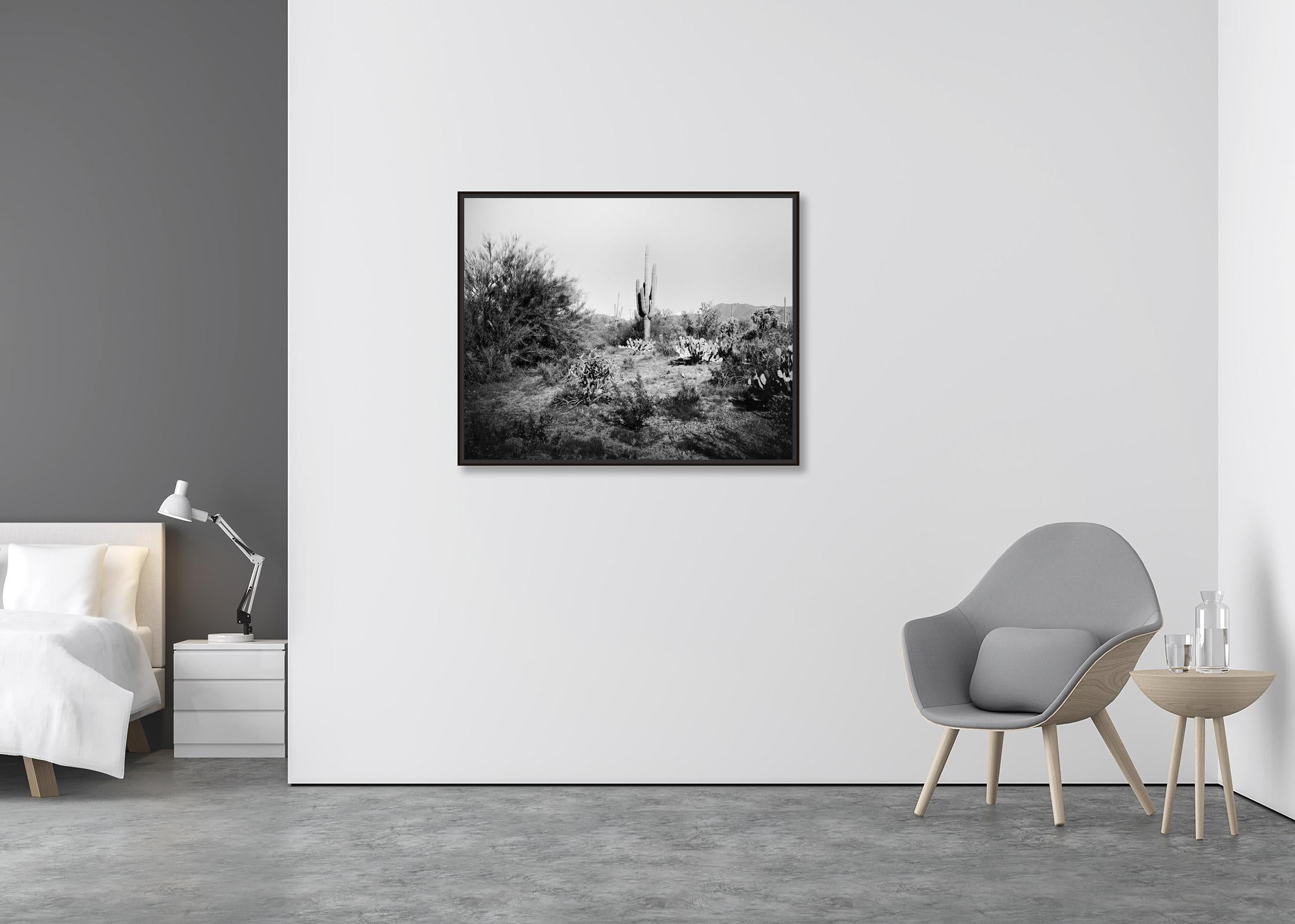 Saguaro Cactus, National Park, Arizona, USA, black and white landscape photo - Contemporary Photograph by Gerald Berghammer