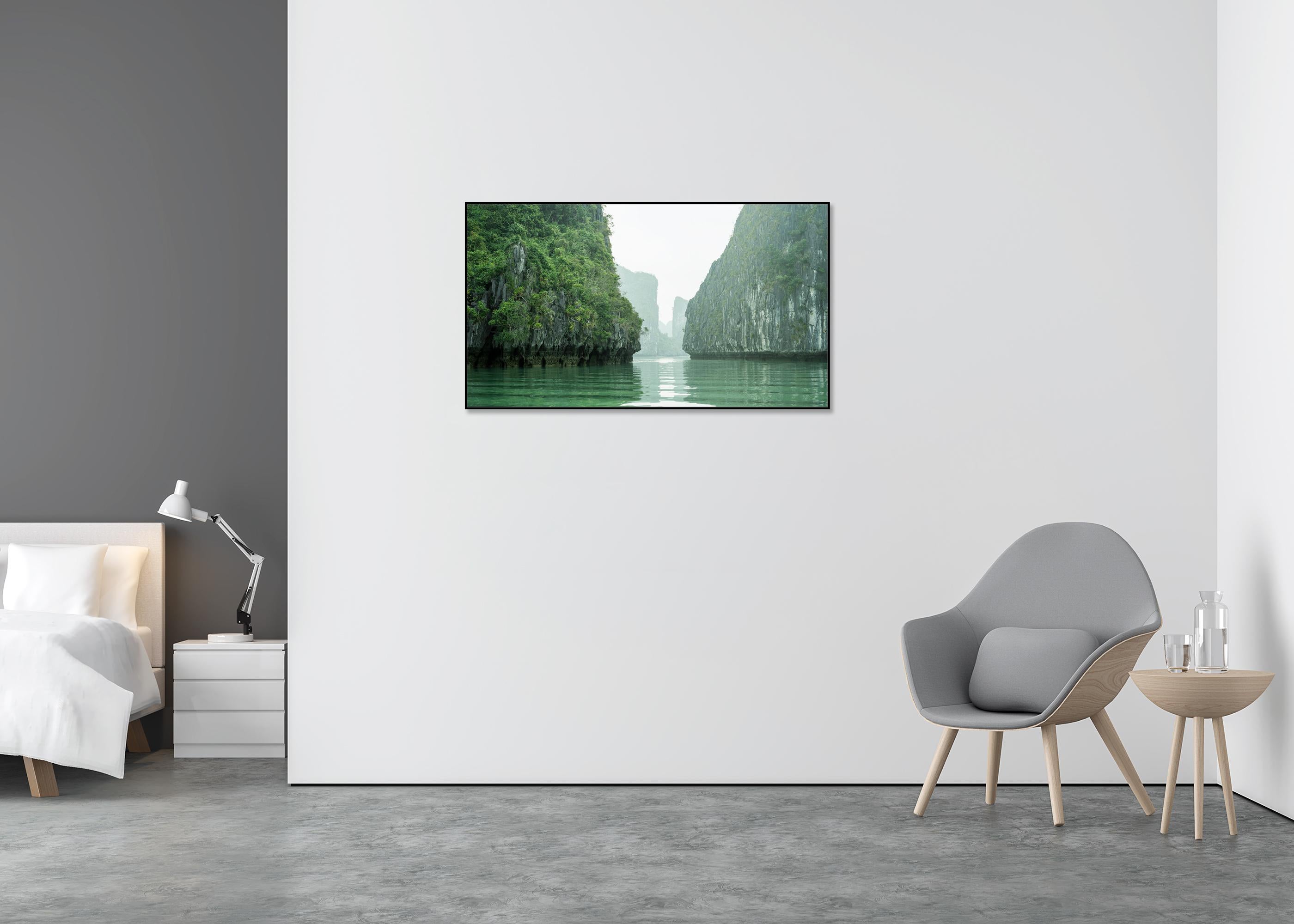 Panorama du canyon d'eau de mer, falaises vertes, baie de La Hong - photographie de paysages marins - Gris Landscape Photograph par Gerald Berghammer