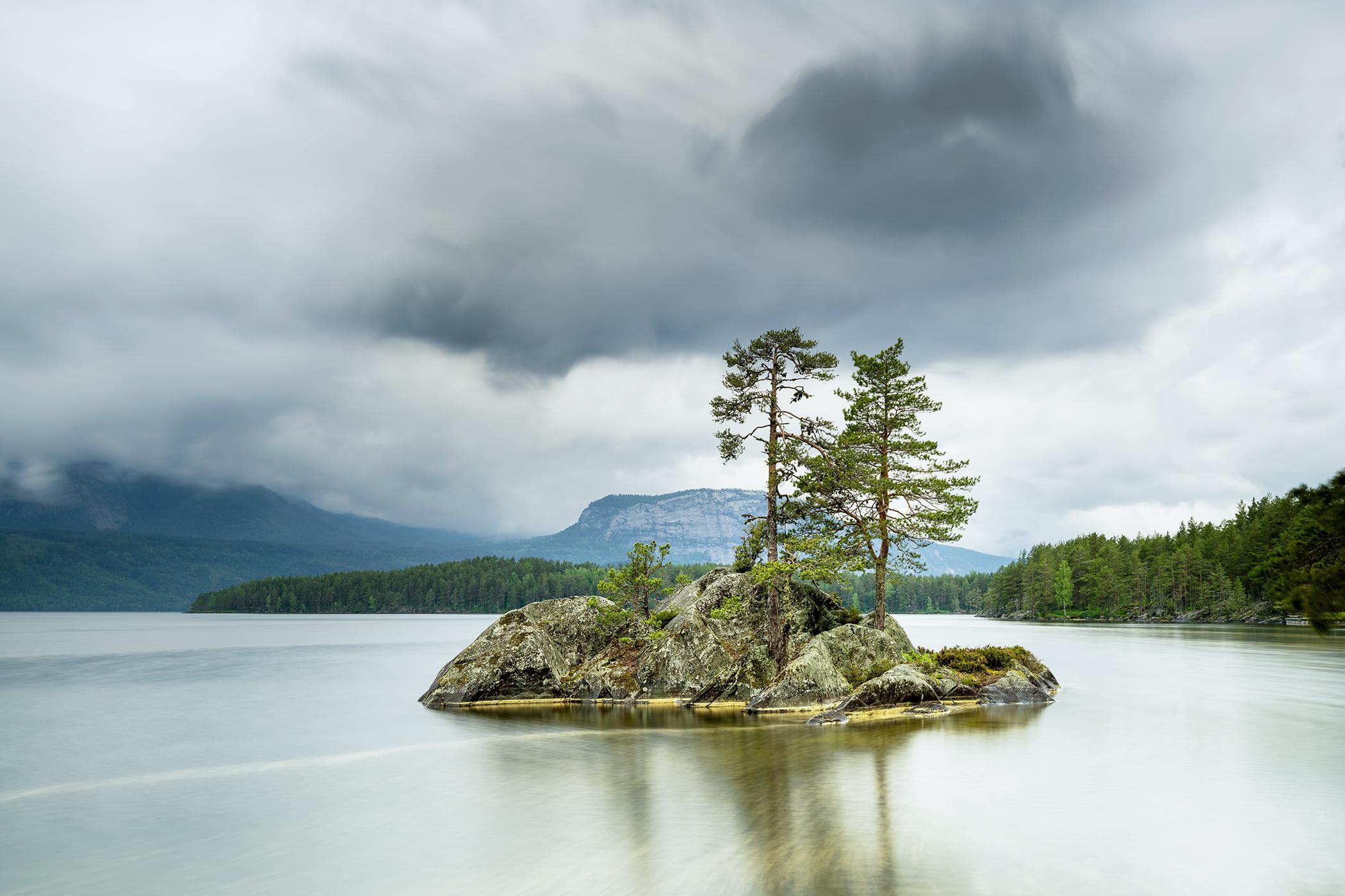 Petit îlot de rocaille avec arbres