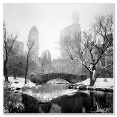 Schneebedeckte Central Park Lake Bridge New York USA